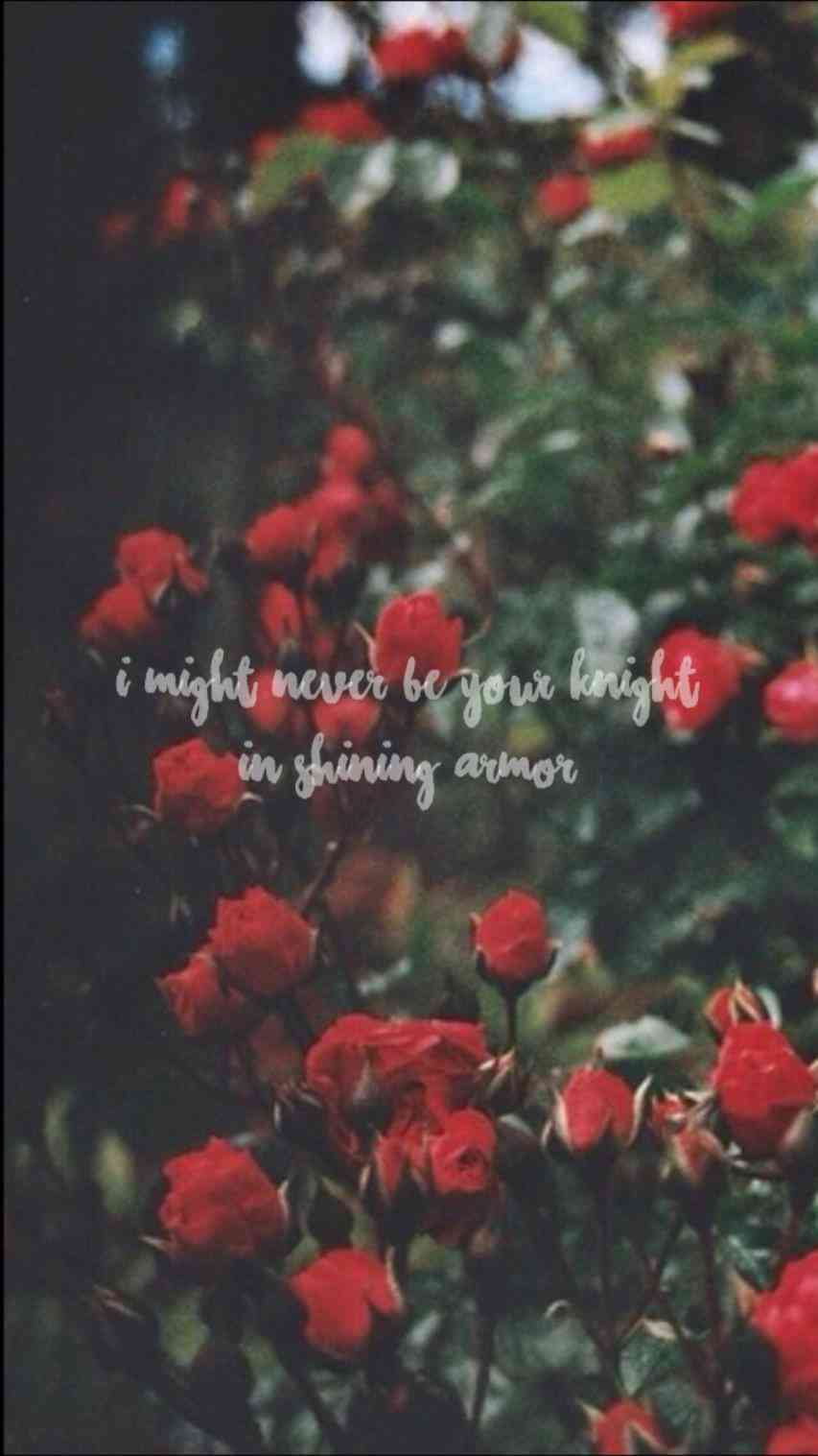 Red Aesthetic Phone Wallpapers Top Free Red Aesthetic Phone