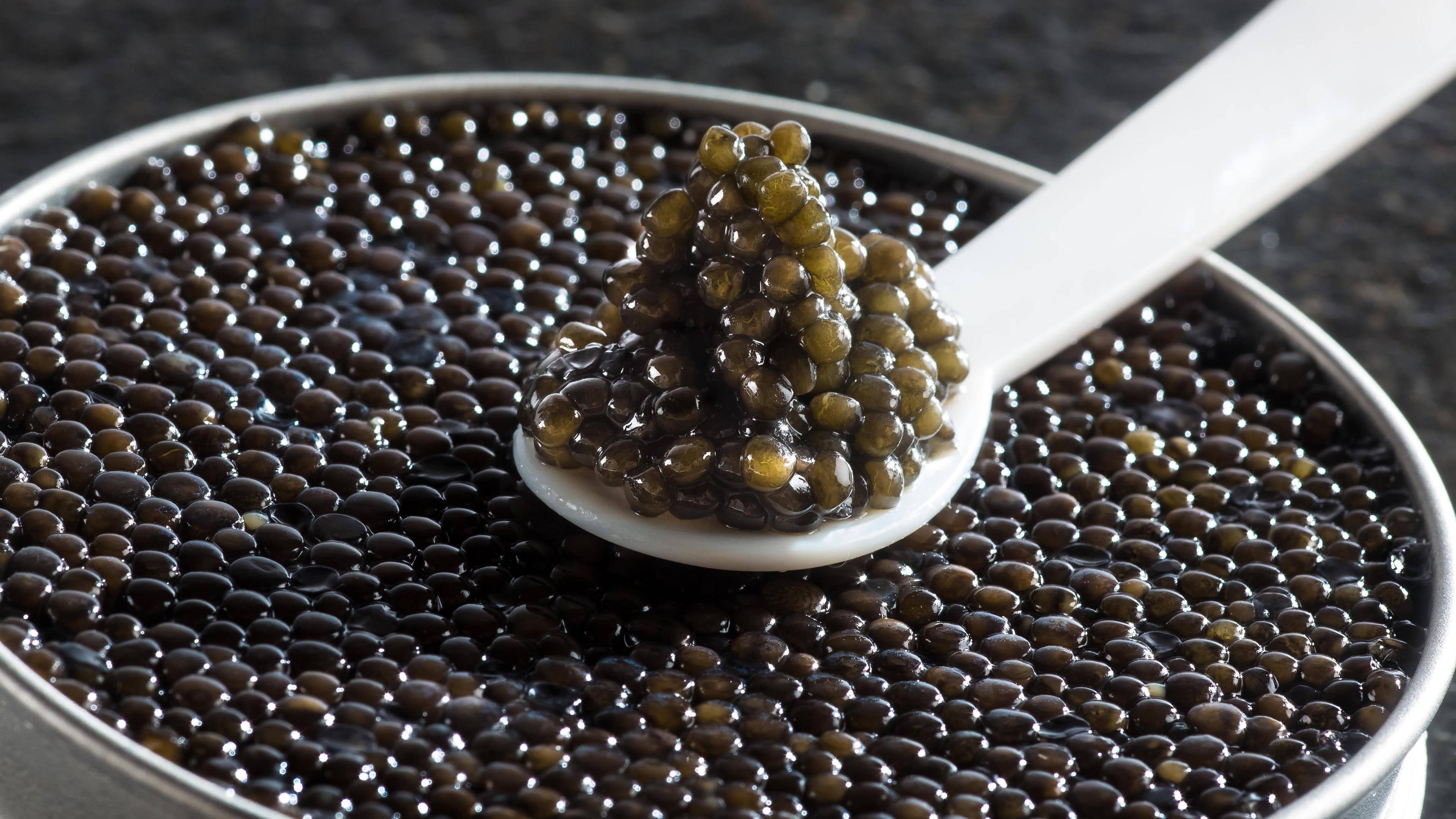 Caviar Wallpapers Top Free Caviar Backgrounds WallpaperAccess