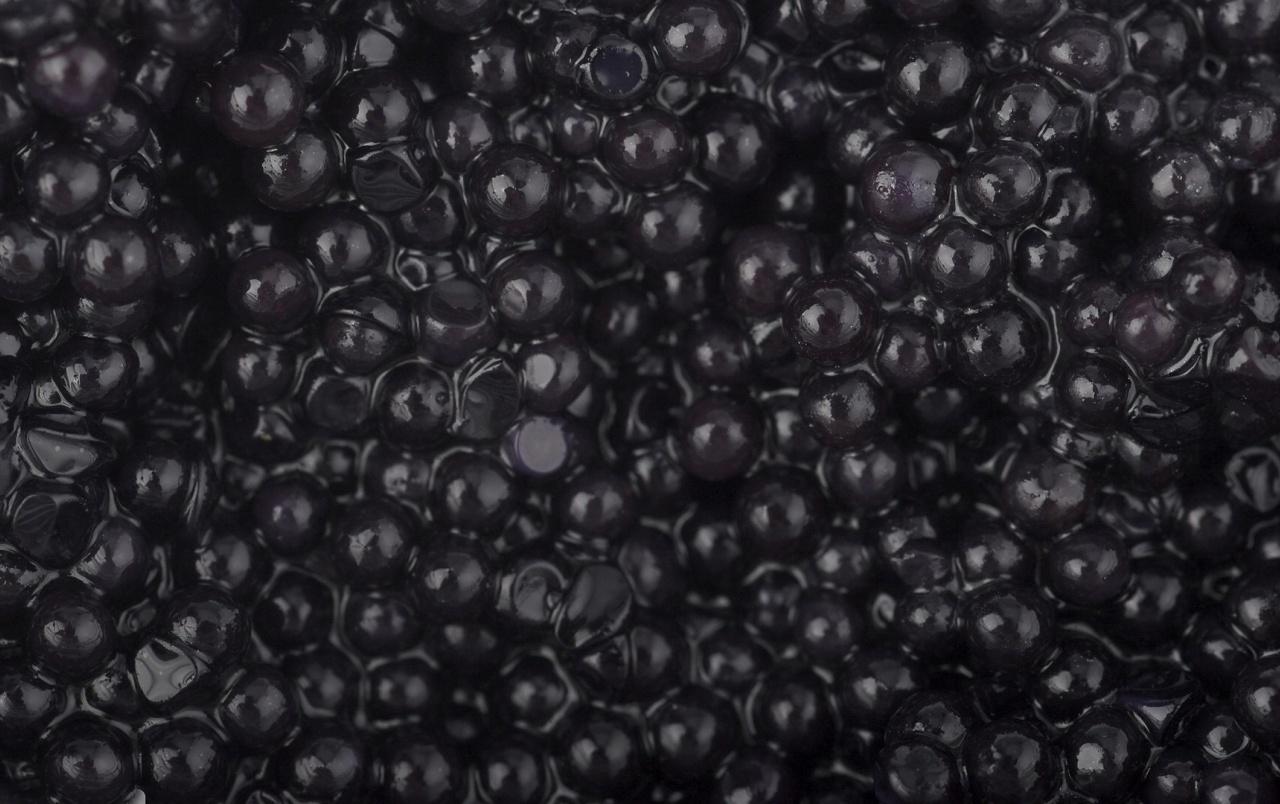Caviar Wallpapers Top Free Caviar Backgrounds WallpaperAccess
