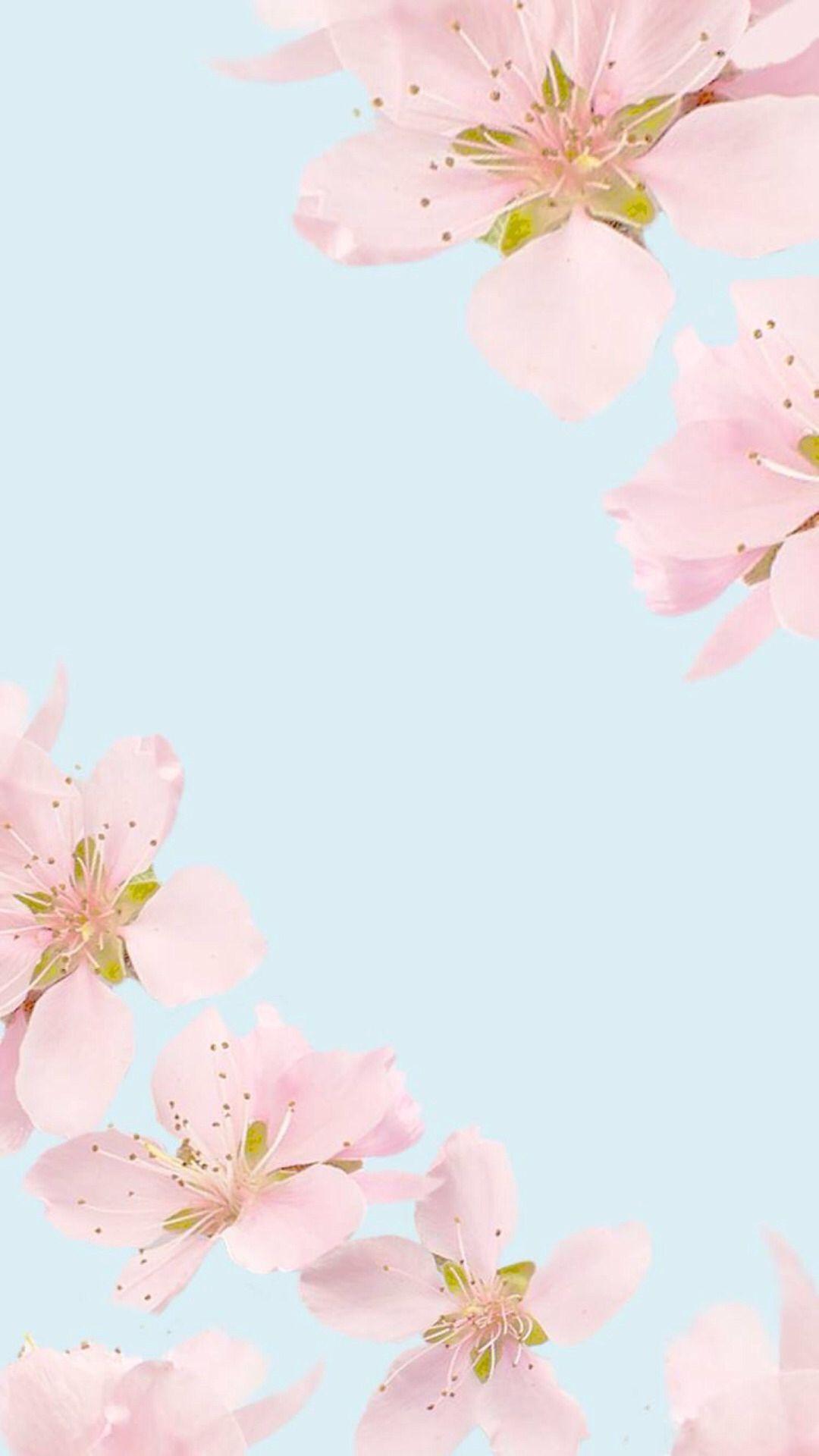 Calming Pink Wallpapers Top Free Calming Pink Backgrounds