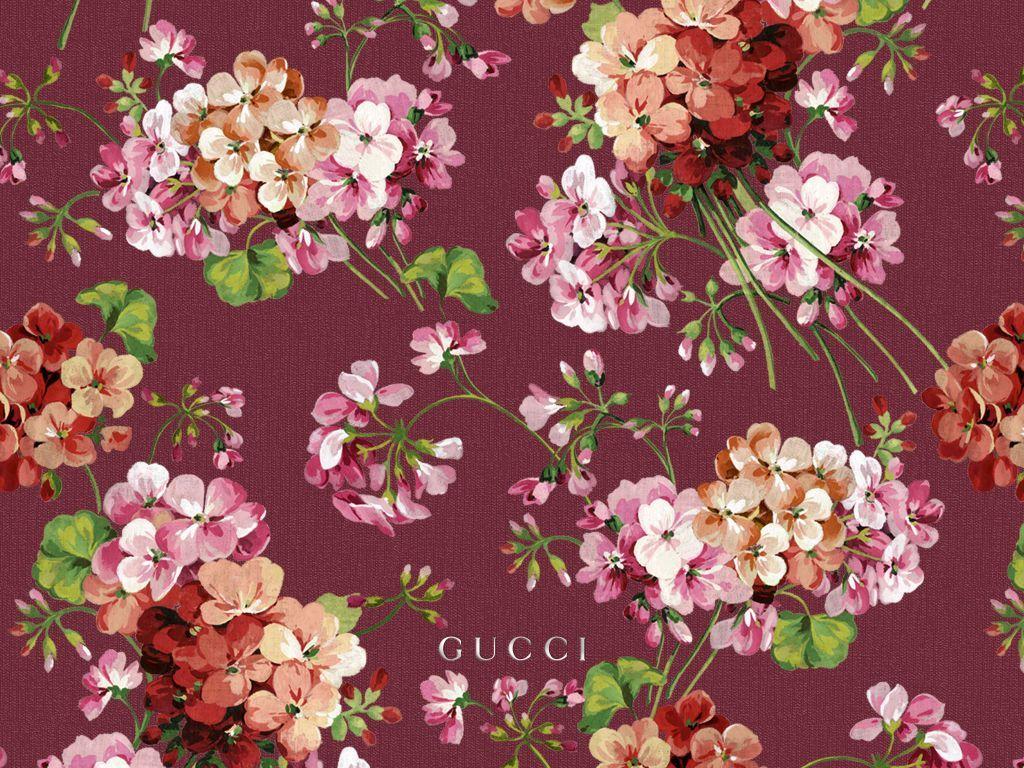 Gucci Floral Wallpapers Top Free Gucci Floral Backgrounds WallpaperAccess