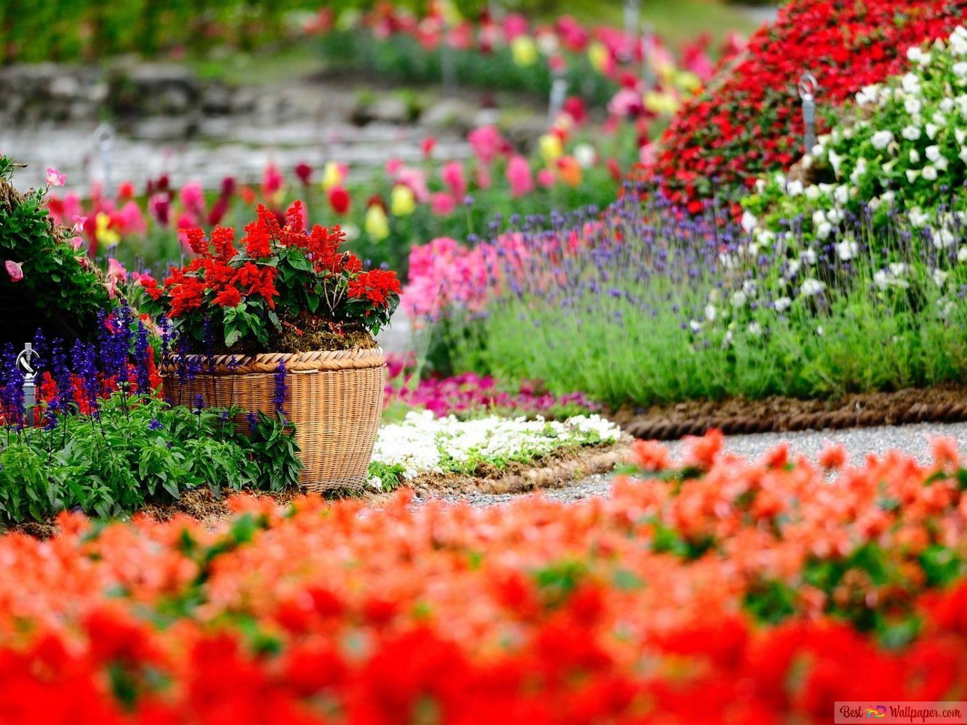 Natural Garden Wallpapers Top Free Natural Garden Backgrounds