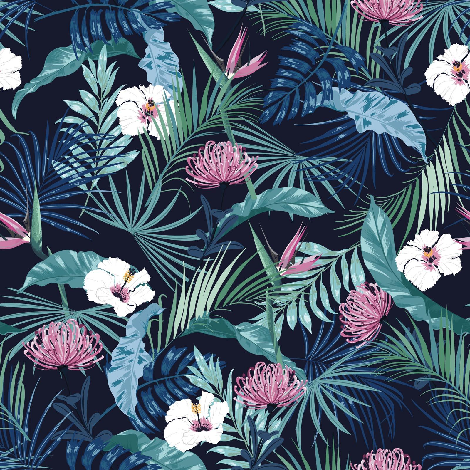 Blue Tropical Wallpapers Top Free Blue Tropical Backgrounds