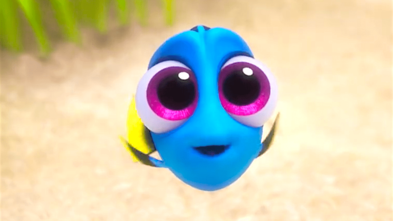 Cute Dory Wallpapers Top Free Cute Dory Backgrounds WallpaperAccess