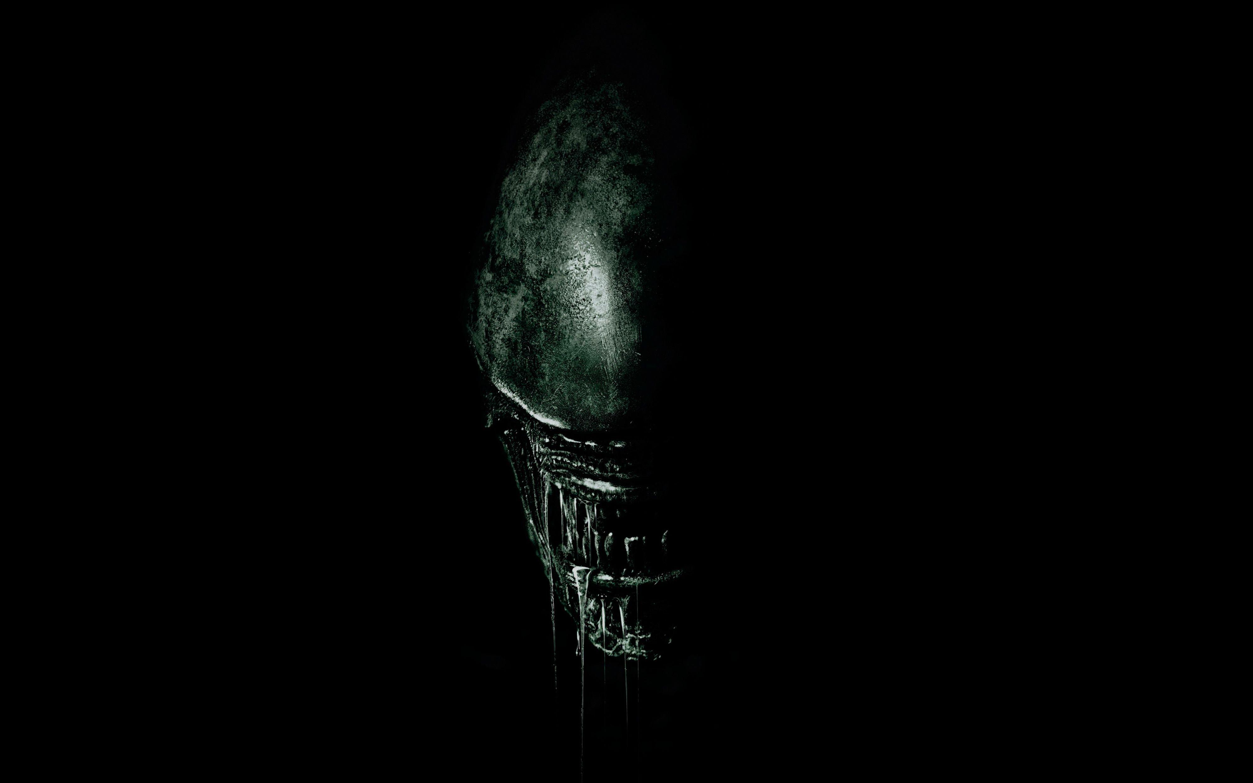 Alien 4K Wallpapers Top Free Alien 4K Backgrounds WallpaperAccess
