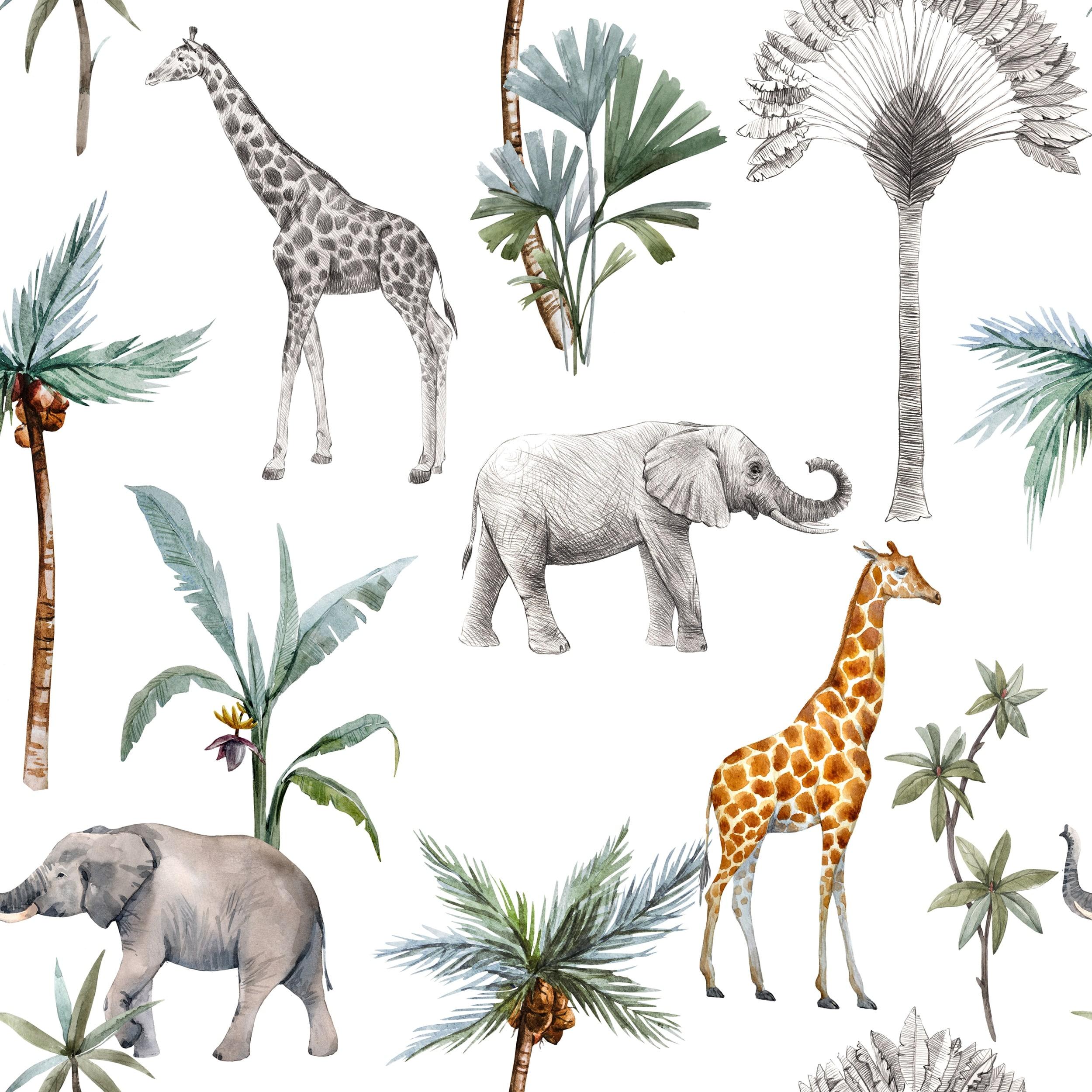 Safari Animals Wallpapers Top Free Safari Animals Backgrounds