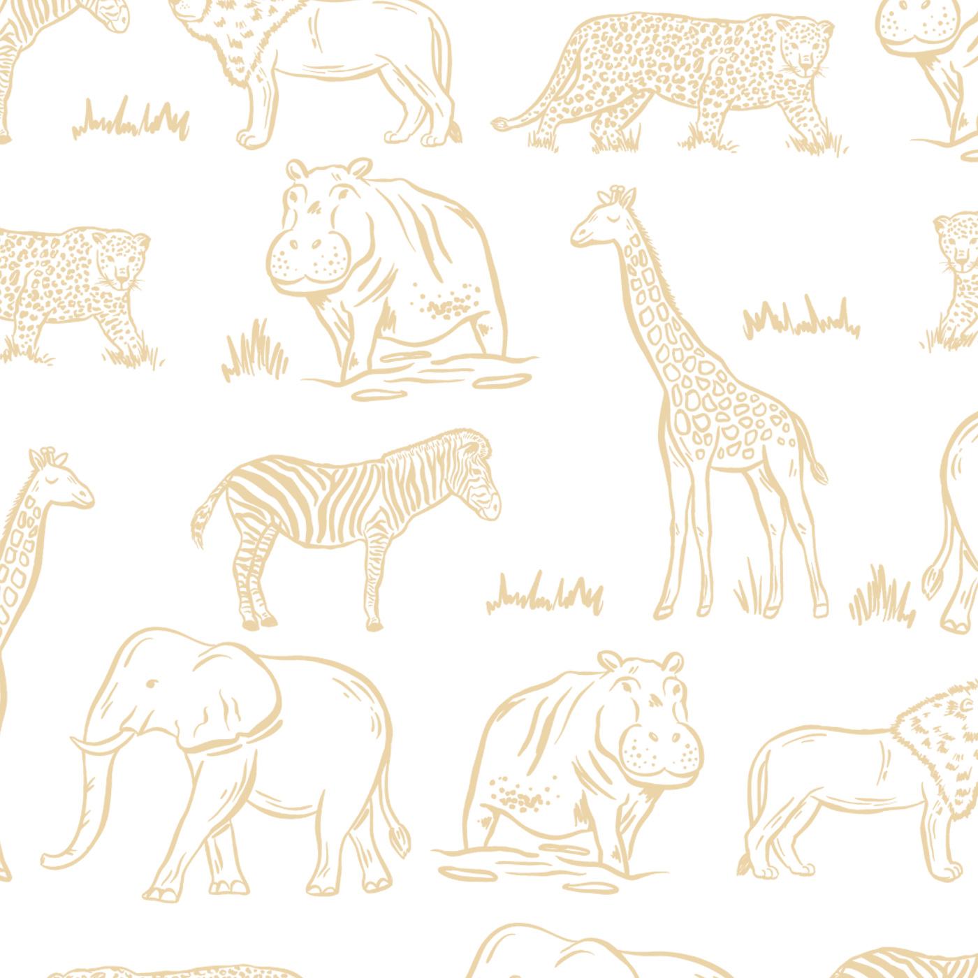 Safari Animals Wallpapers Top Free Safari Animals Backgrounds