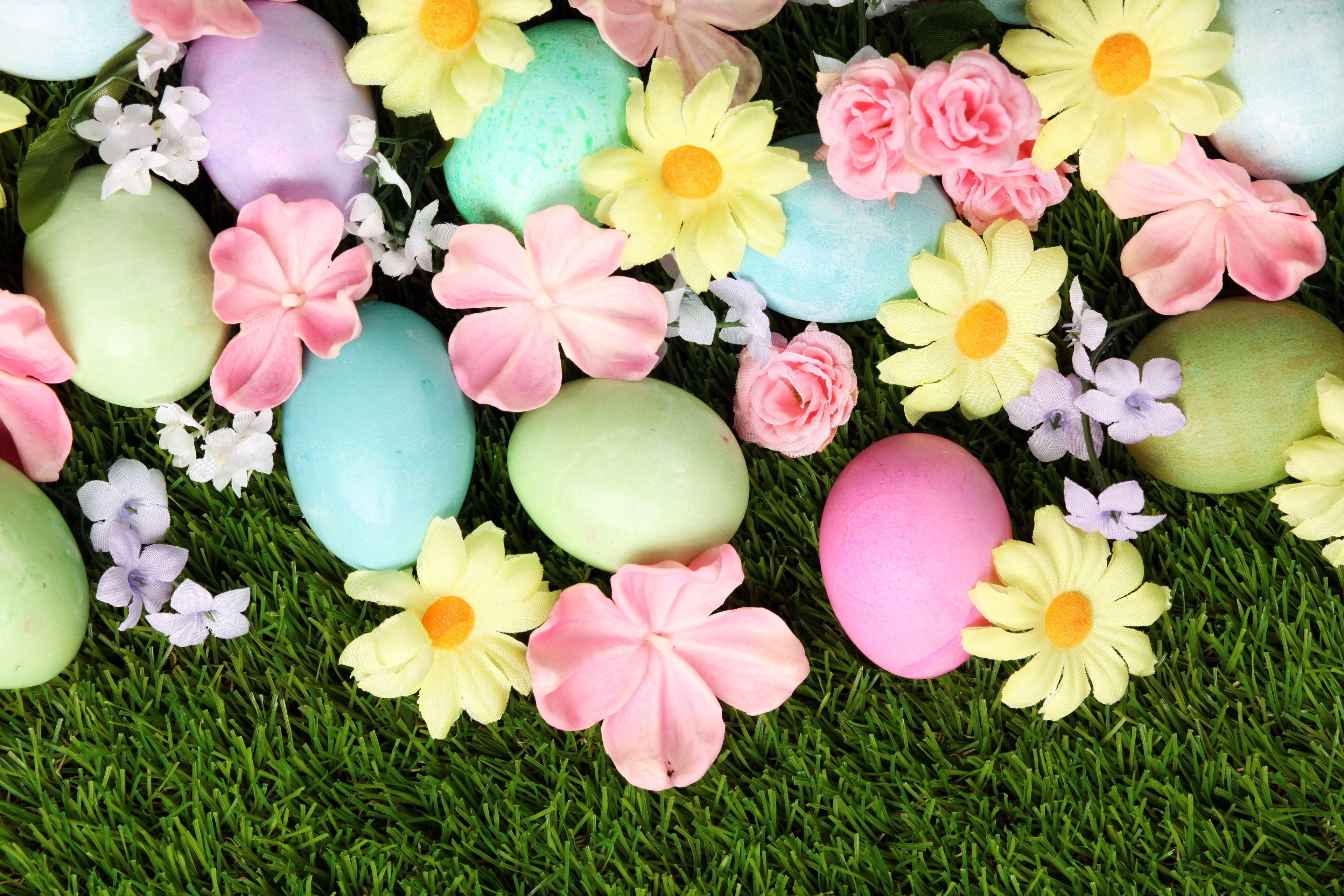 Easter Desktop Wallpapers Top Free Easter Desktop Backgrounds