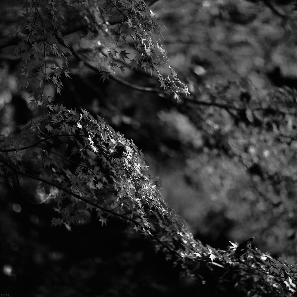 Japanese Black and White Wallpapers Top Free Japanese Black and White