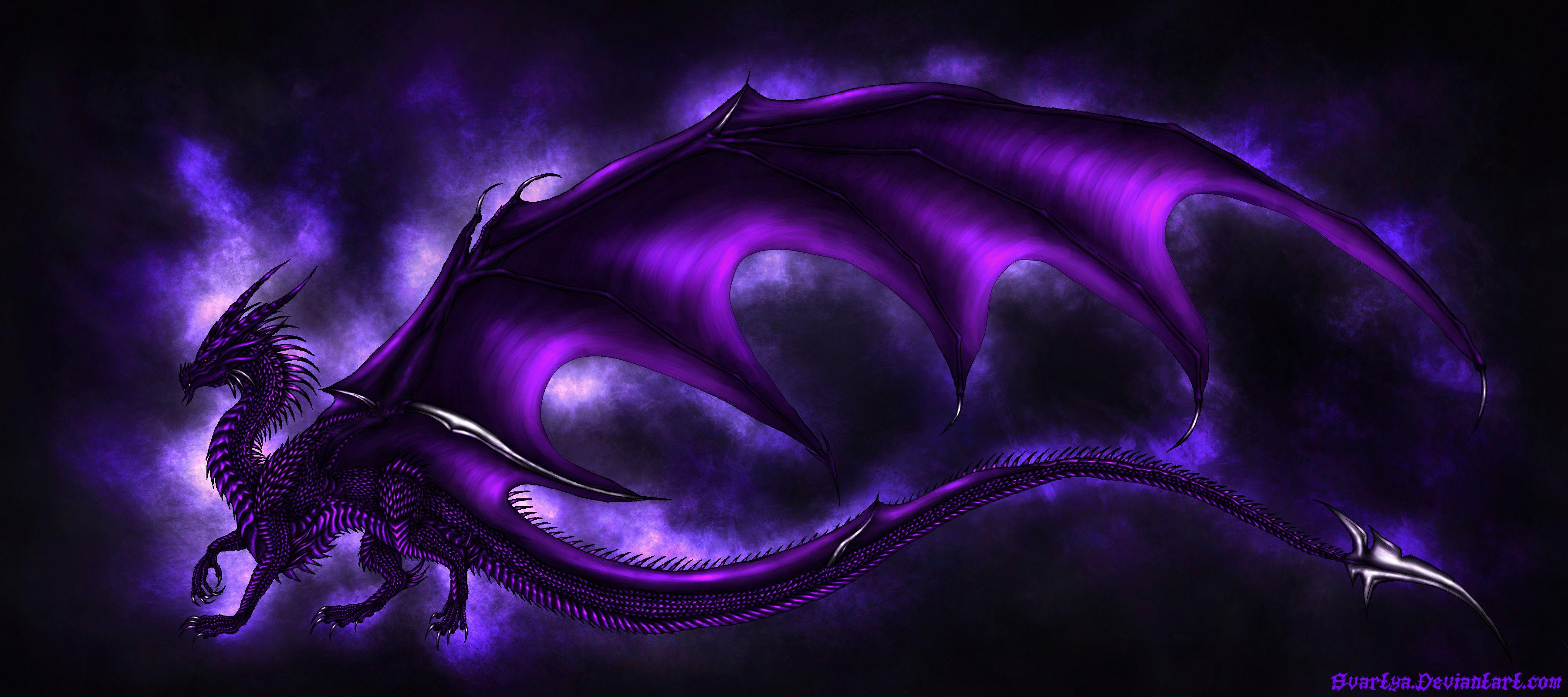 High Resolution Purple Dragons Wallpapers Top Free High Resolution