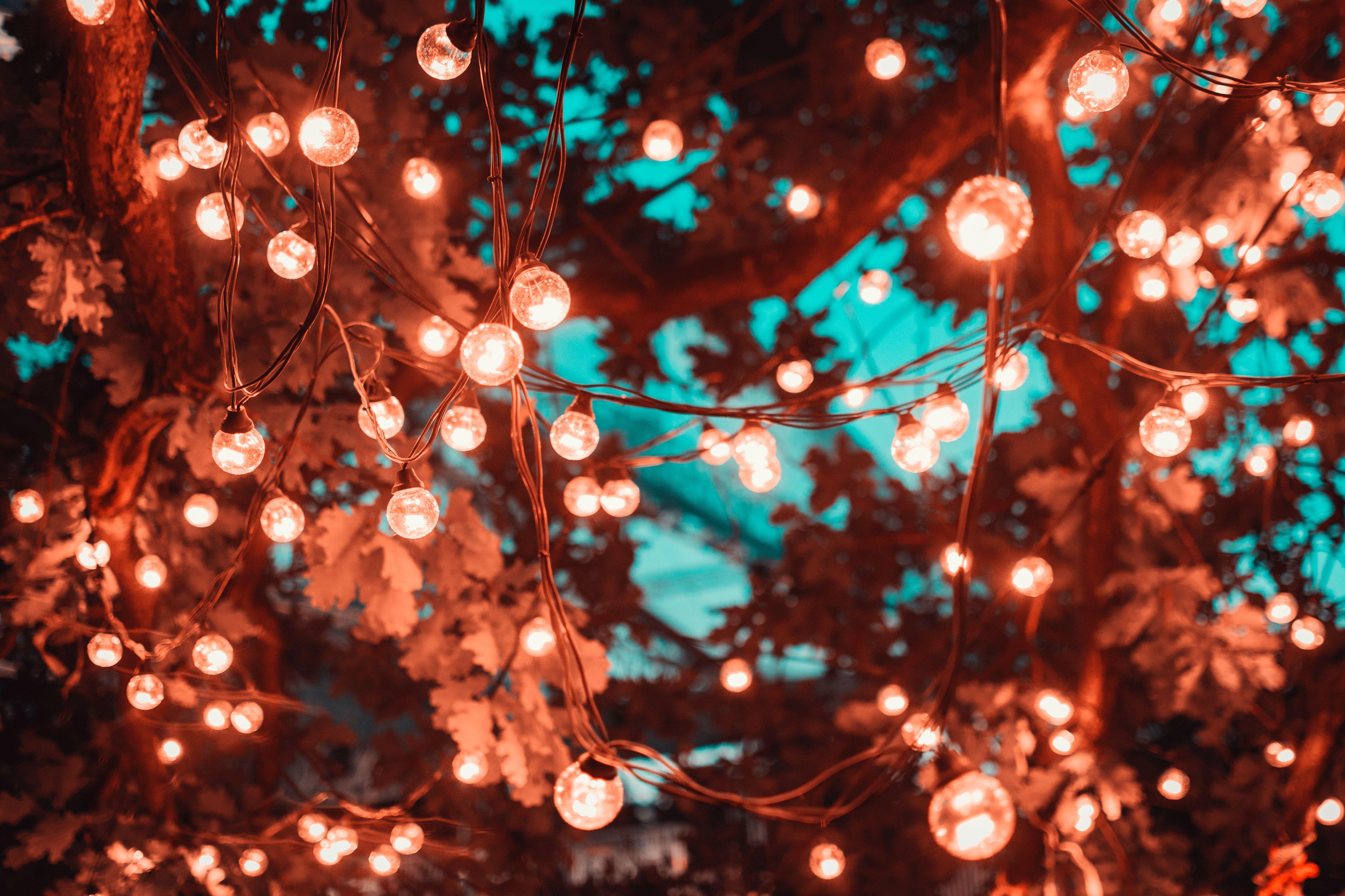 Cute Christmas Lights Wallpapers Top Free Cute Christmas Lights