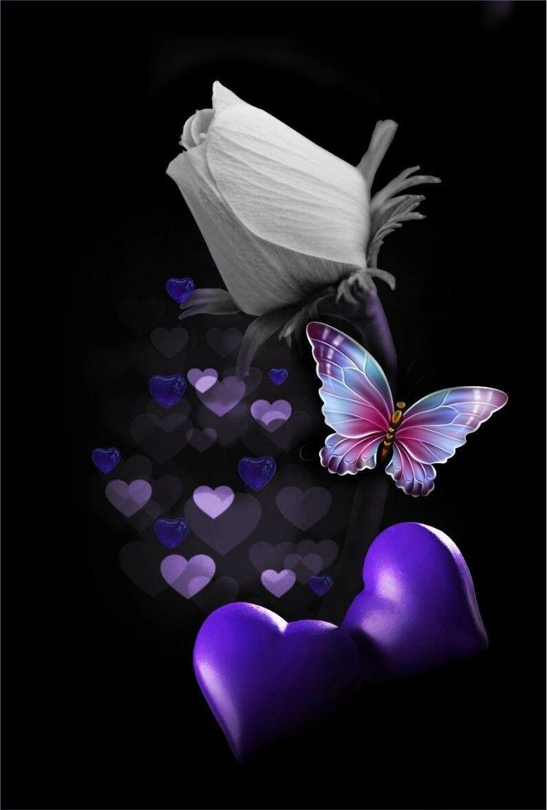 Purple Hearts and Butterfly Wallpapers Top Free Purple Hearts and