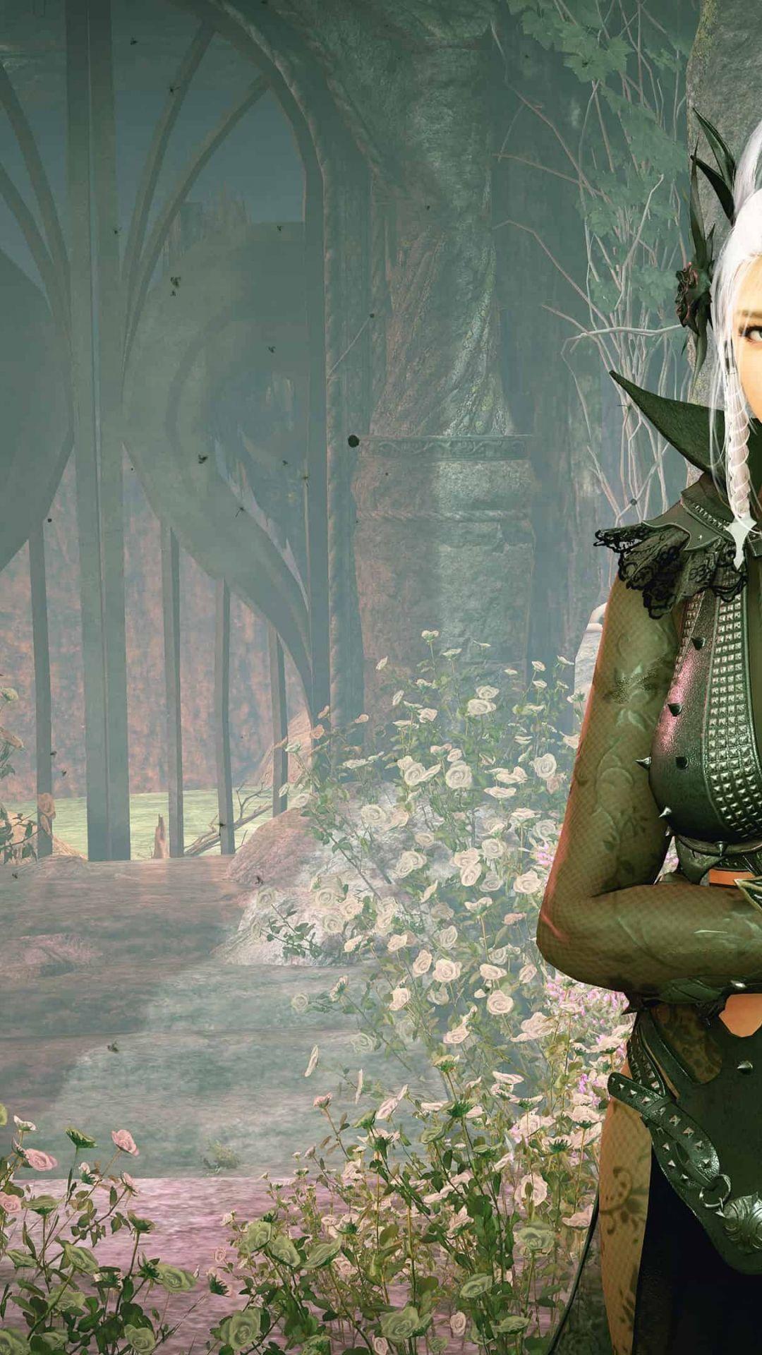 Black Desert Mobile Wallpapers Top Free Black Desert Mobile