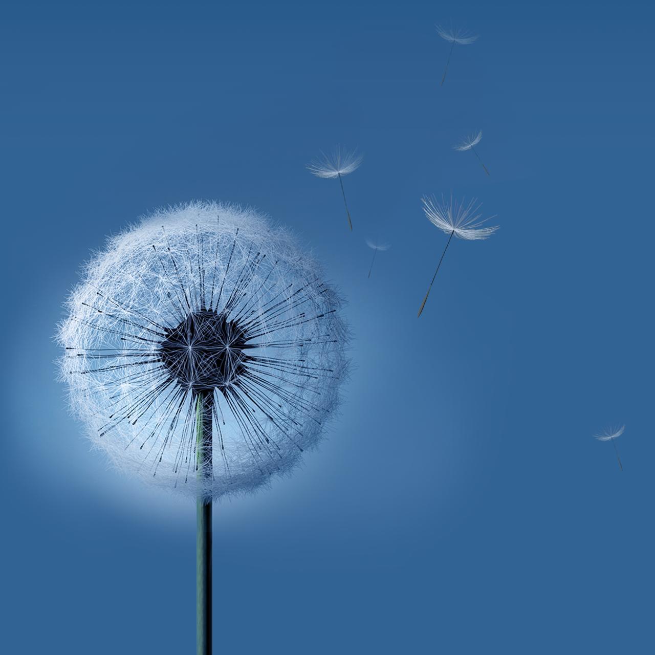 Samsung Galaxy Note 8 Wallpapers Top Free Samsung Galaxy Note 8