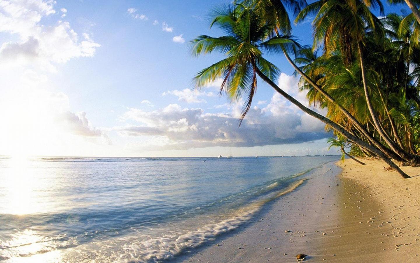 Beige Beach Wallpapers Top Free Beige Beach Backgrounds WallpaperAccess