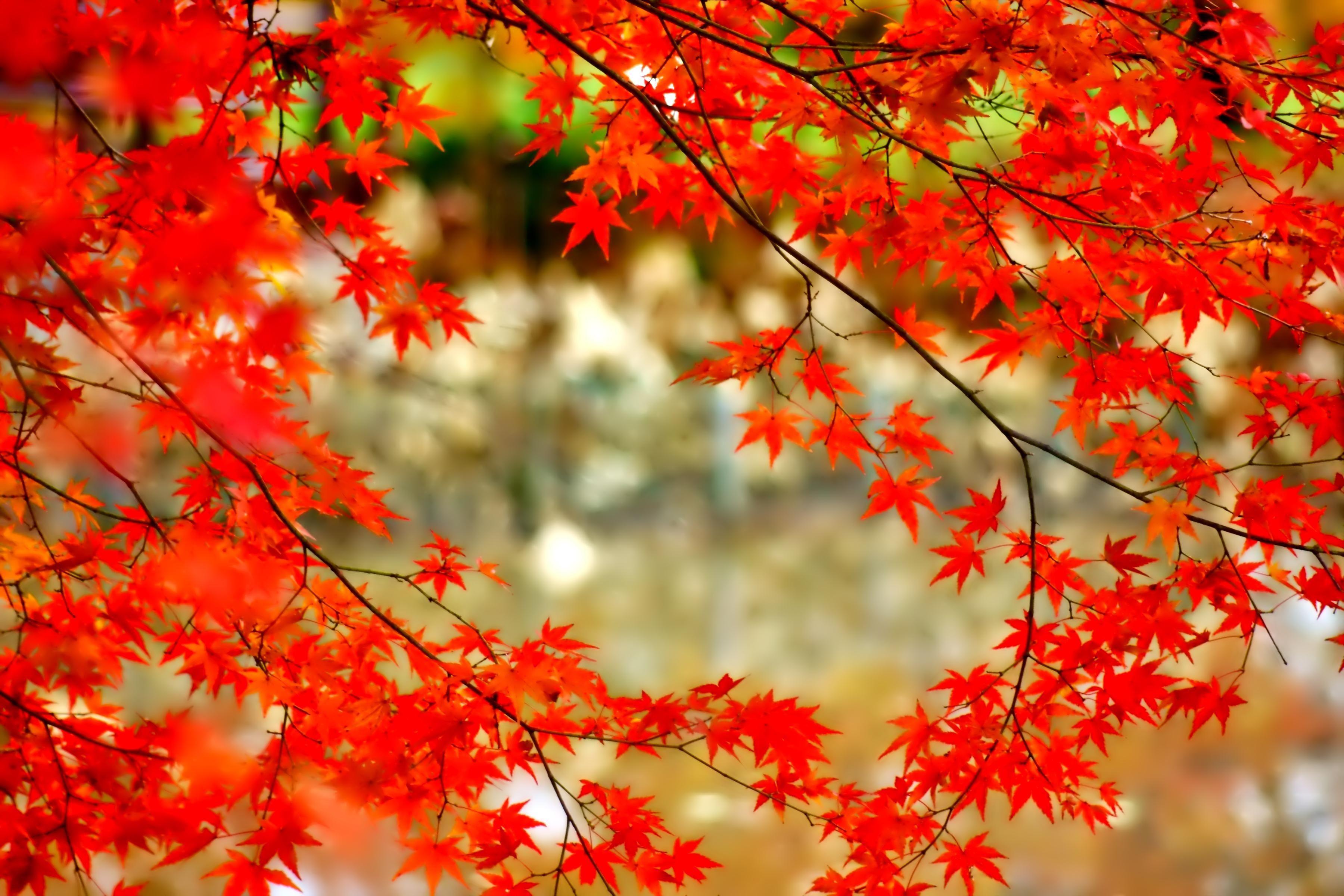 September Wallpapers Top Free September Backgrounds WallpaperAccess