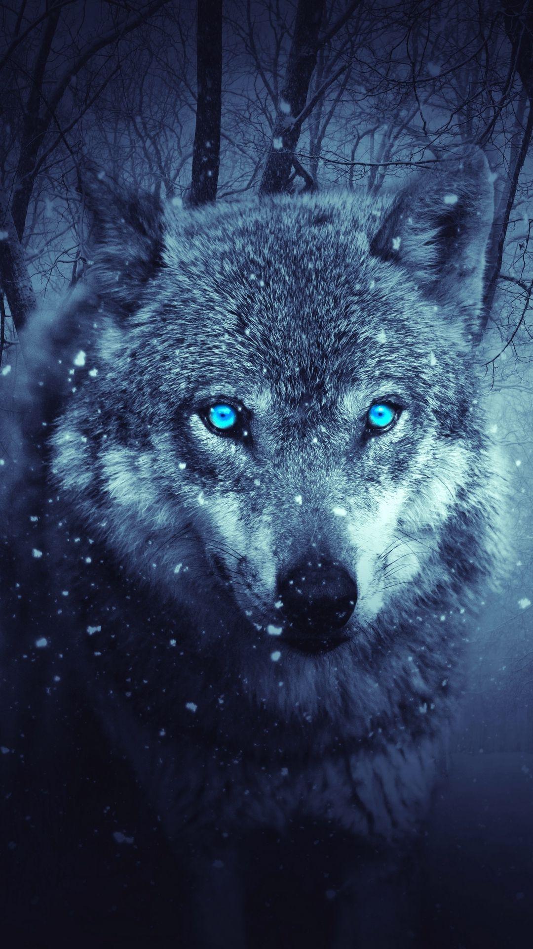 Blue Animal Wallpapers Top Free Blue Animal Backgrounds WallpaperAccess