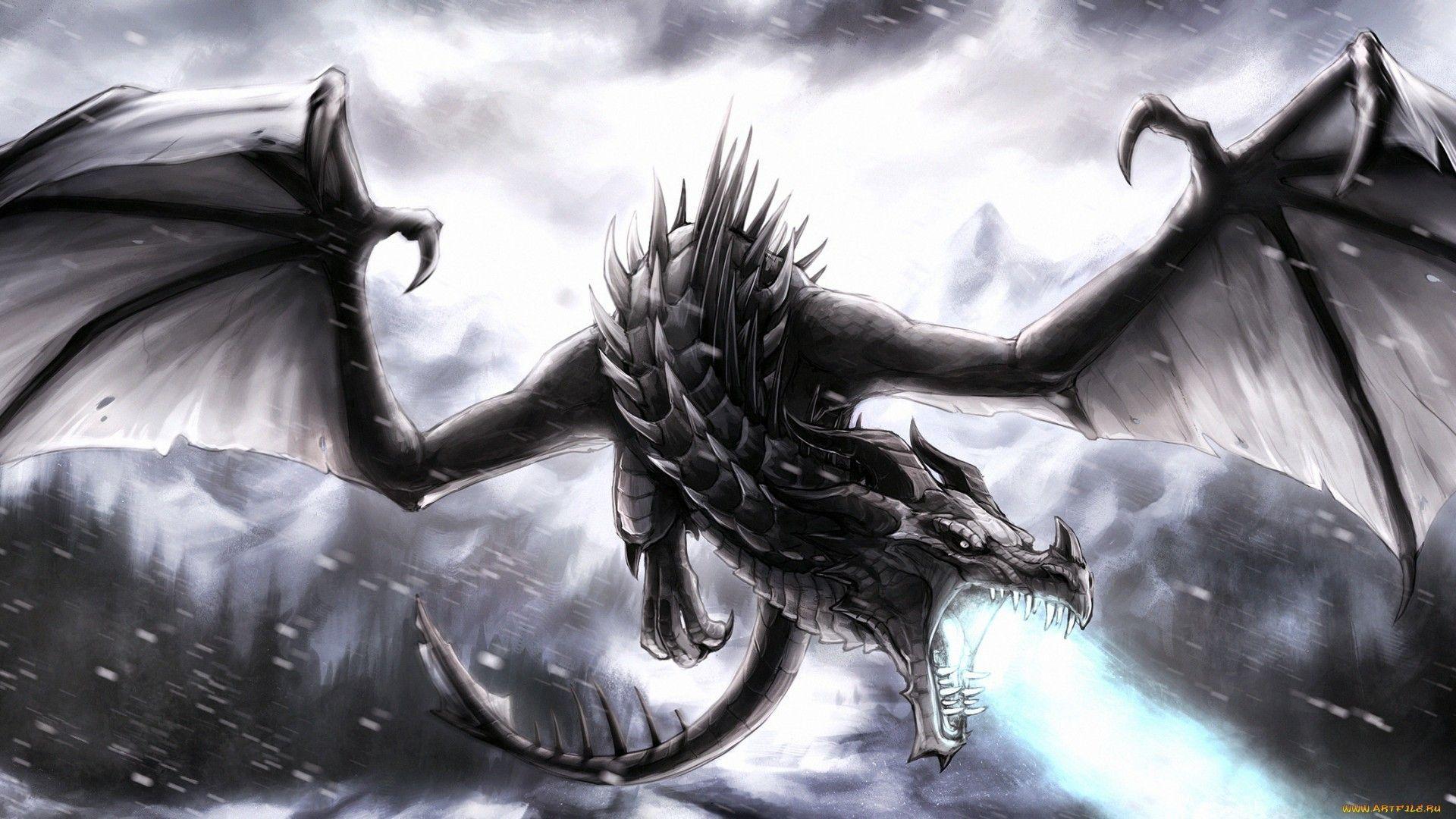 Skyrim Dragon Wallpapers Top Free Skyrim Dragon Backgrounds