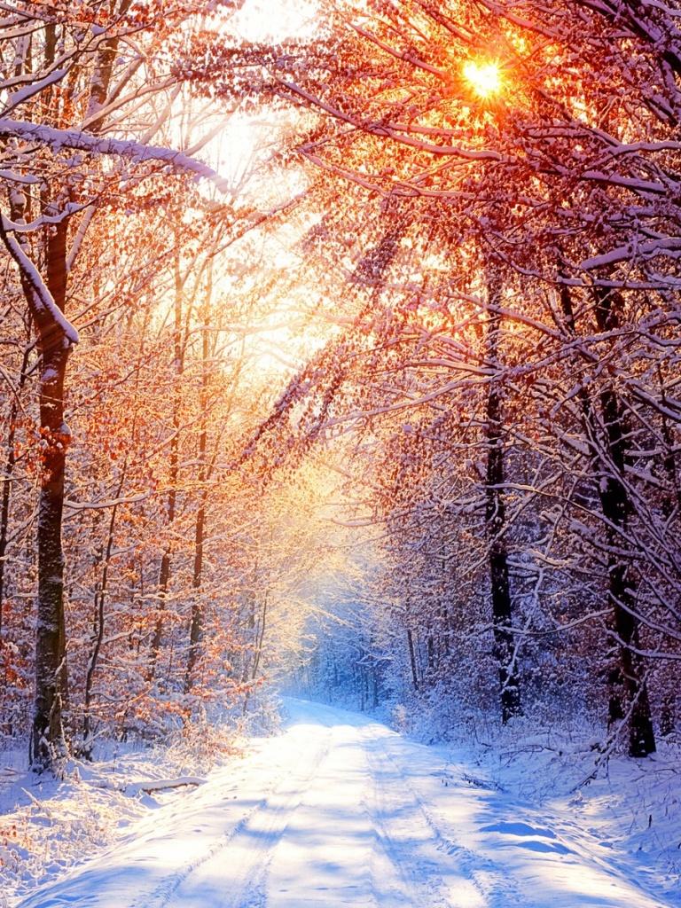 Winter iPad Air Wallpapers Top Free Winter iPad Air Backgrounds