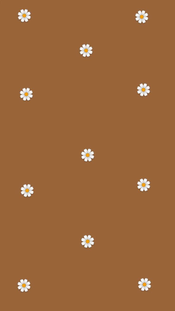 Brown Phone Wallpapers Top Free Brown Phone Backgrounds WallpaperAccess