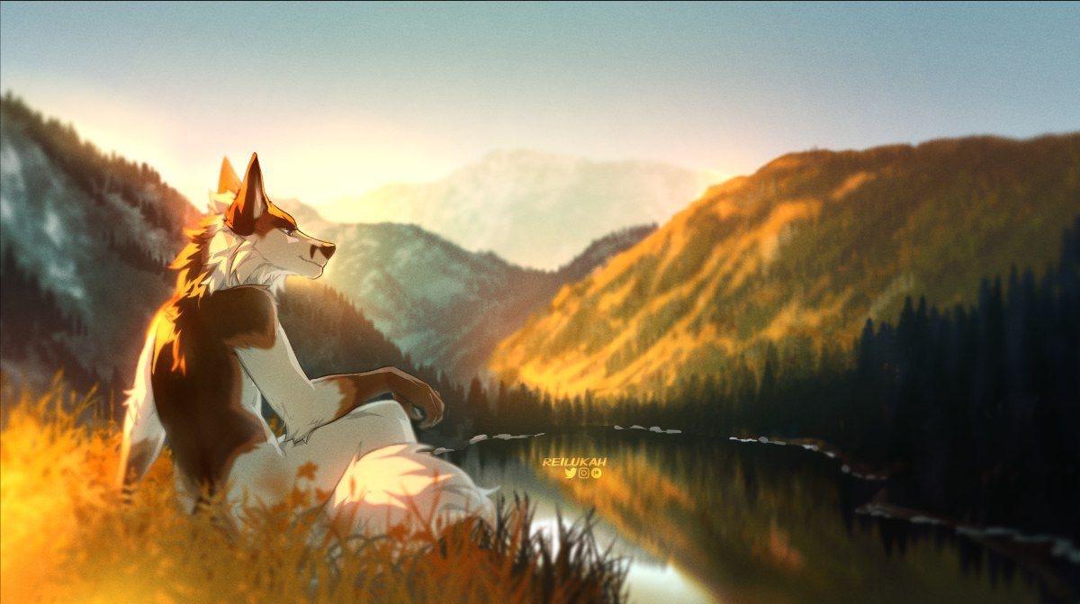 Cool Furry Wallpapers Top Free Cool Furry Backgrounds WallpaperAccess