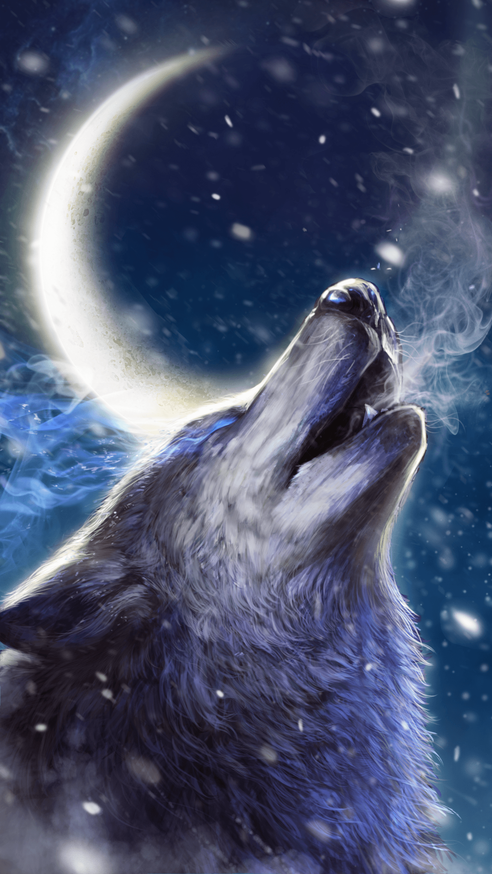 Ice Wolf Wallpapers Top Free Ice Wolf Backgrounds WallpaperAccess