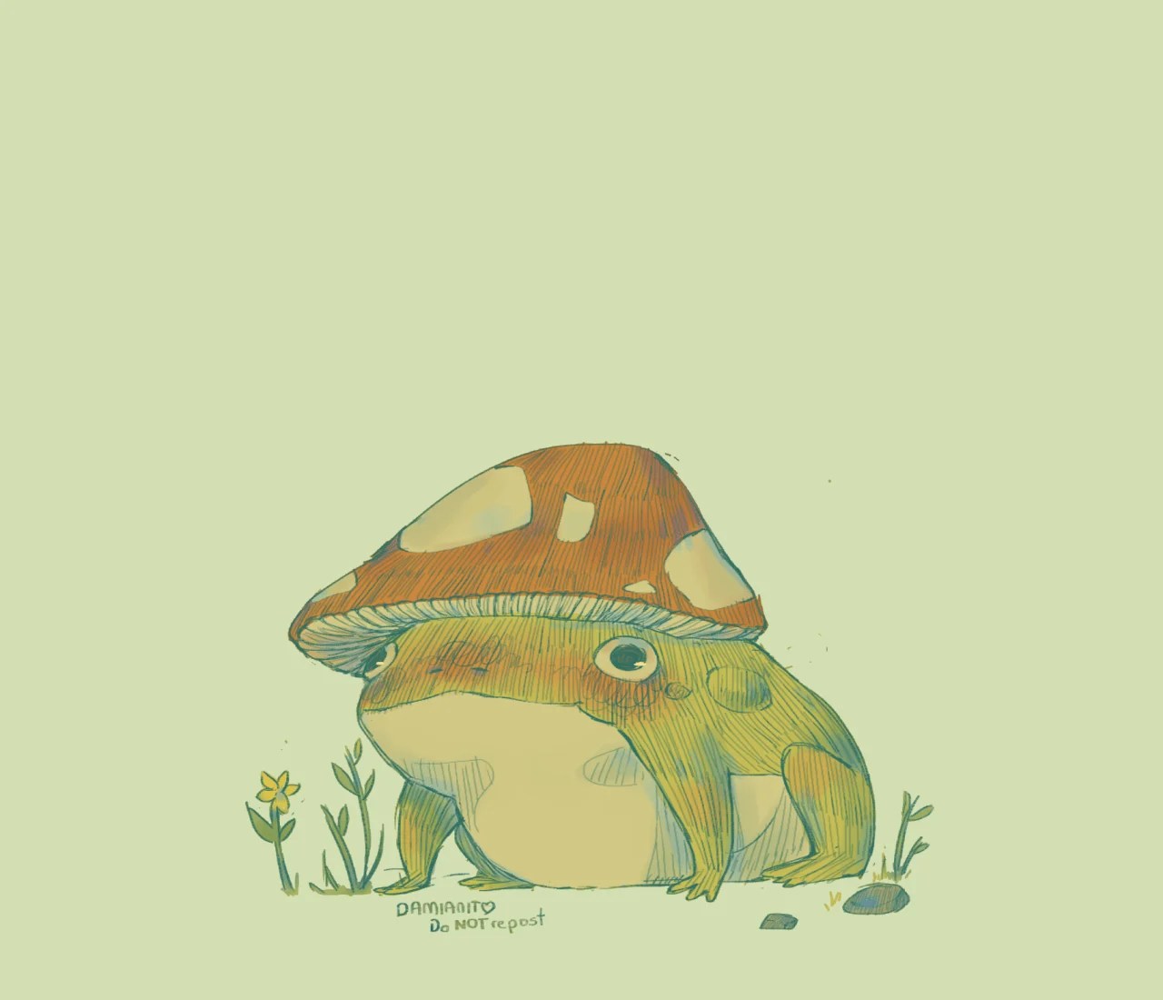 Mushroom Frog Wallpapers Top Free Mushroom Frog Backgrounds