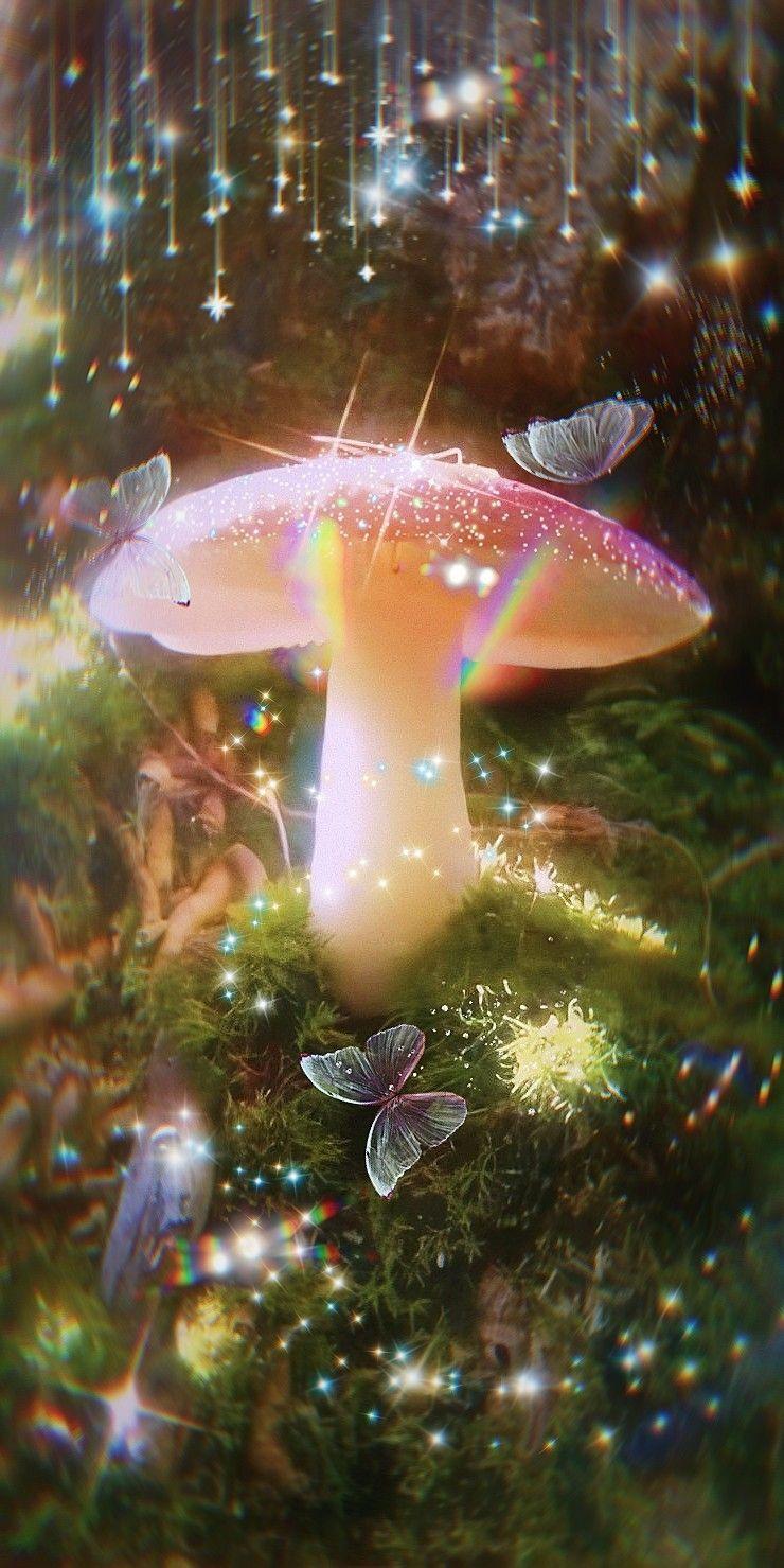 Mushroom Frog Wallpapers Top Free Mushroom Frog Backgrounds