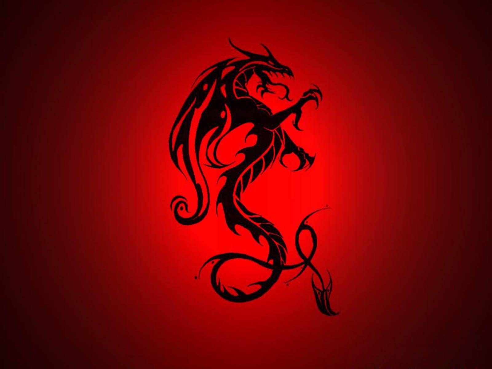 Neon Dragon Wallpapers Top Free Neon Dragon Backgrounds WallpaperAccess