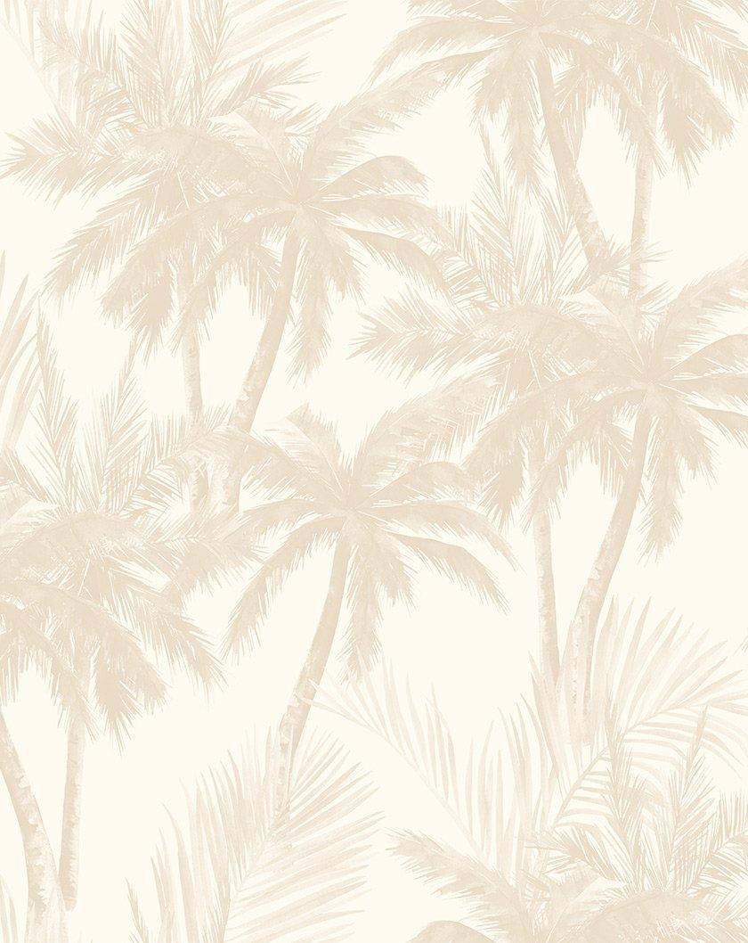 Gold Palm Trees Wallpapers Top Free Gold Palm Trees Backgrounds