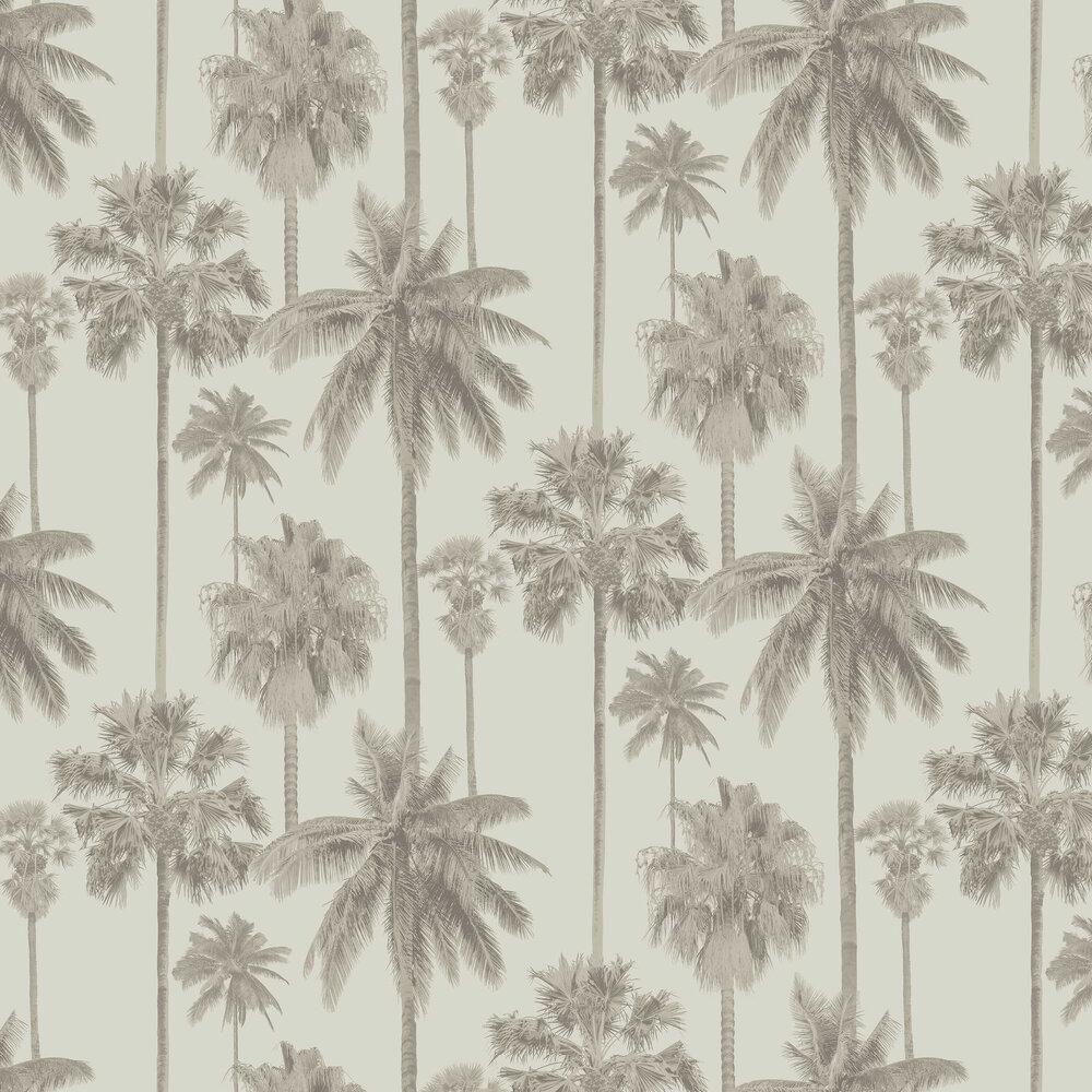 Gold Palm Trees Wallpapers Top Free Gold Palm Trees Backgrounds