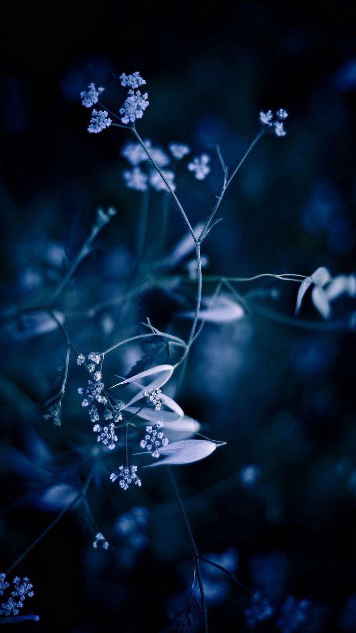 Cool Samsung Wallpapers Top Free Cool Samsung Backgrounds