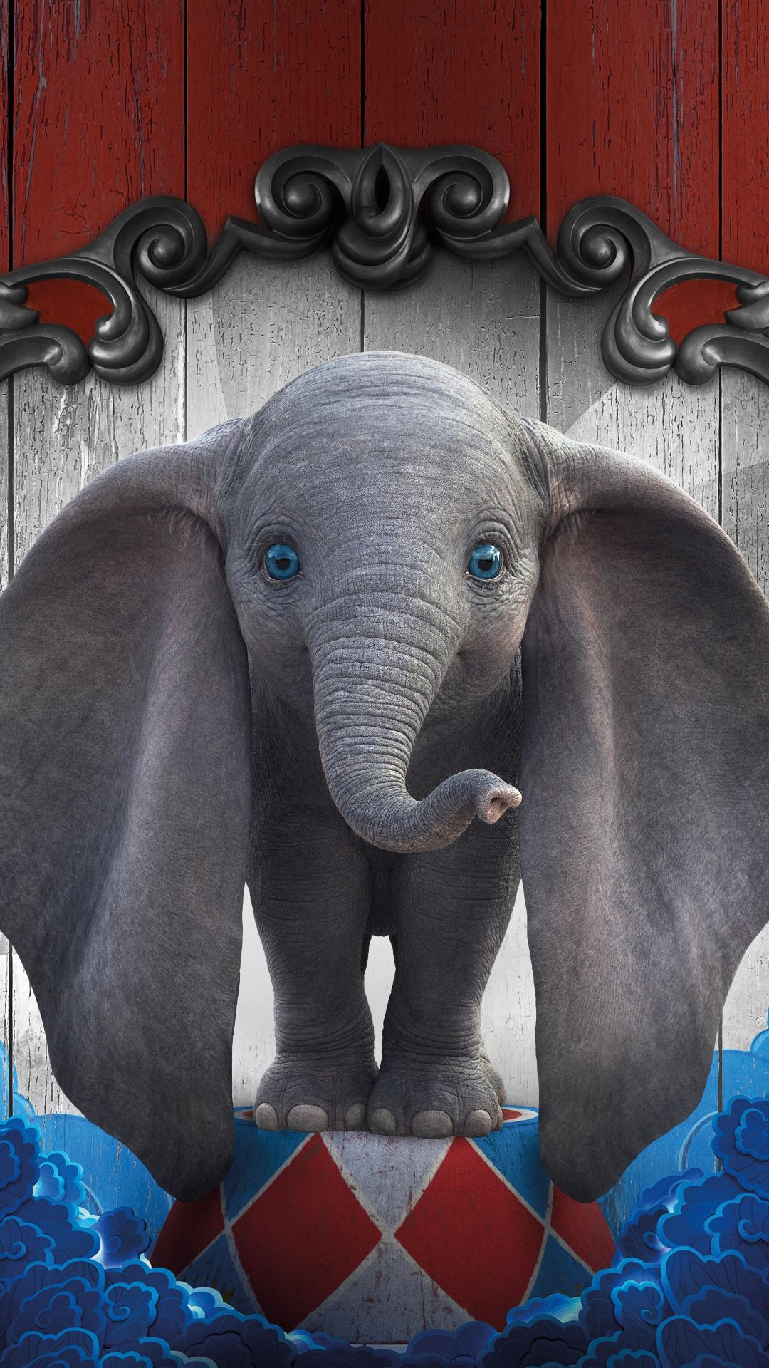 Baby Elephant Phone Wallpapers Top Free Baby Elephant Phone