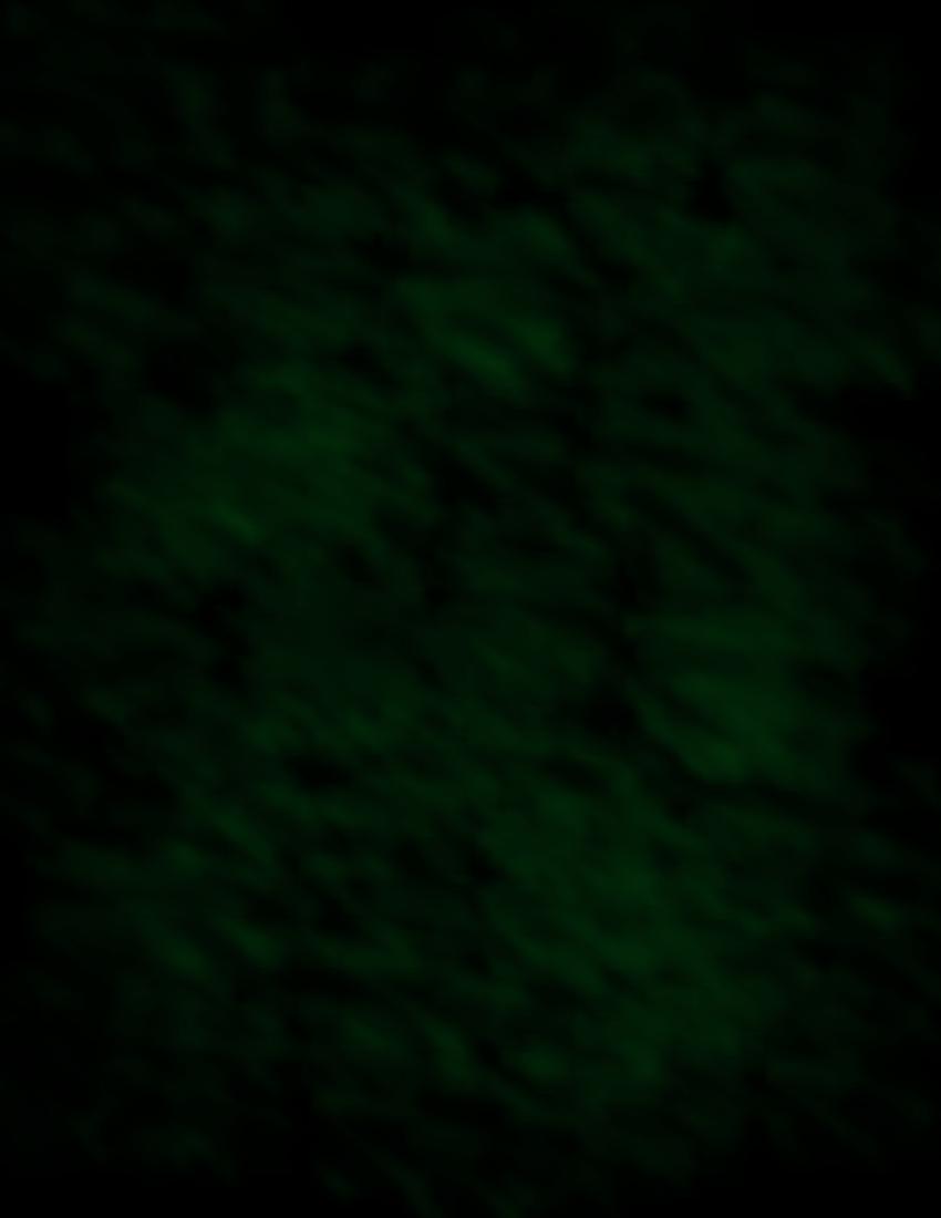 Dark Green Textured Wallpapers Top Free Dark Green Textured