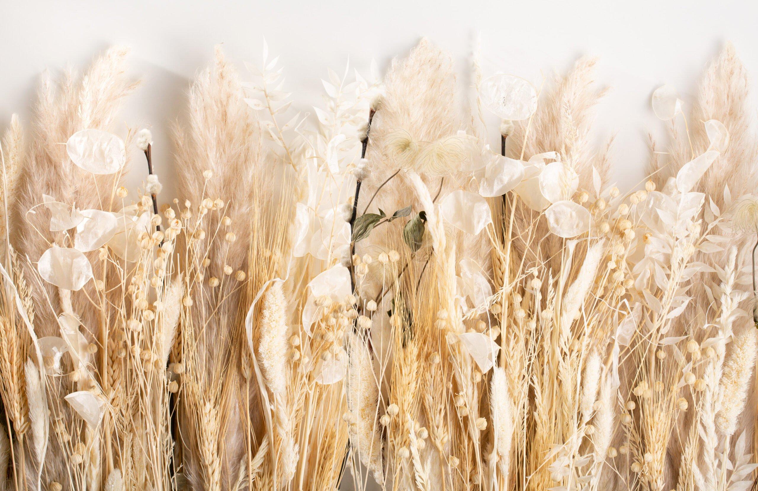 Dried Flowers Desktop Wallpapers Top Free Dried Flowers Desktop Backgrounds WallpaperAccess