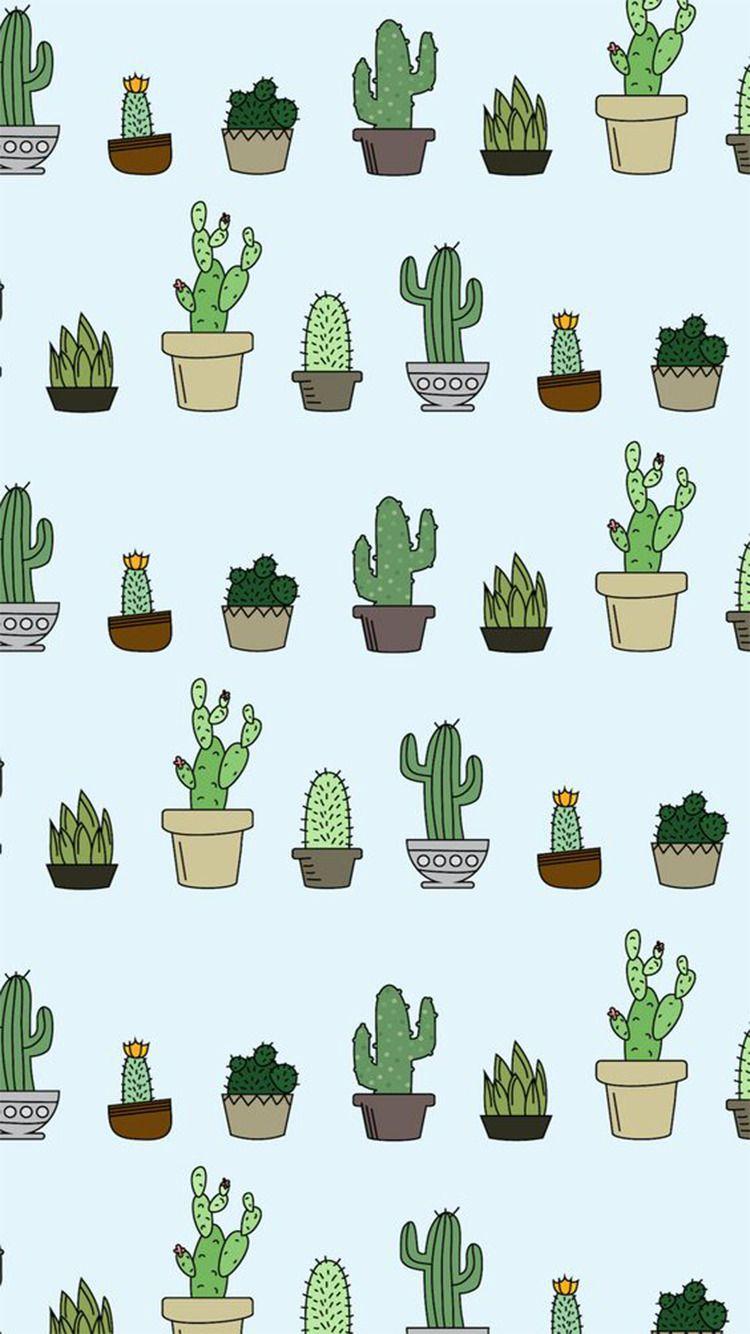 Aesthetic Succulents Wallpapers Top Free Aesthetic Succulents
