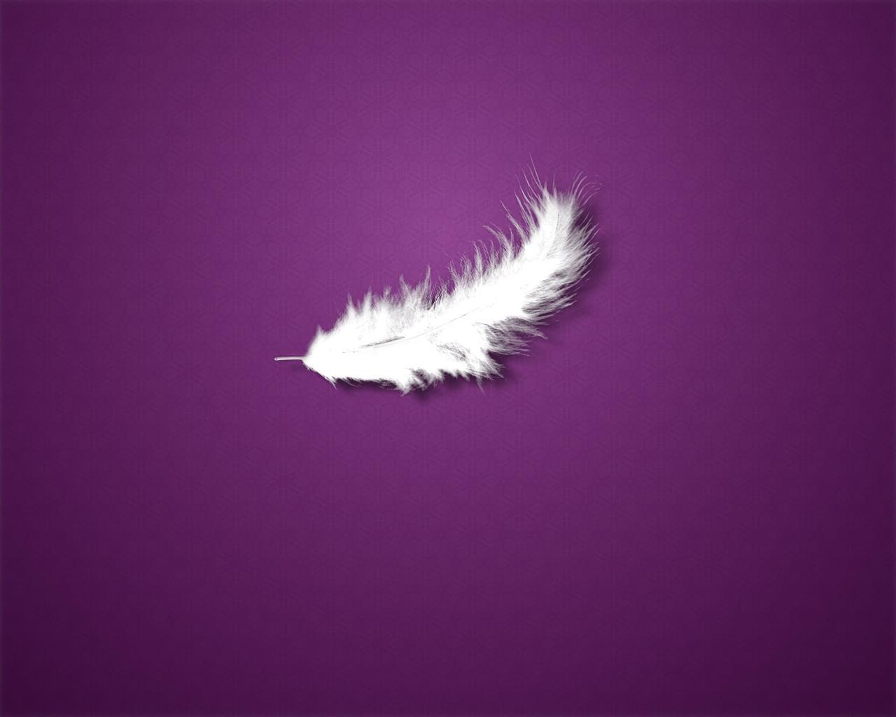 Pink Feather Wallpapers Top Free Pink Feather Backgrounds