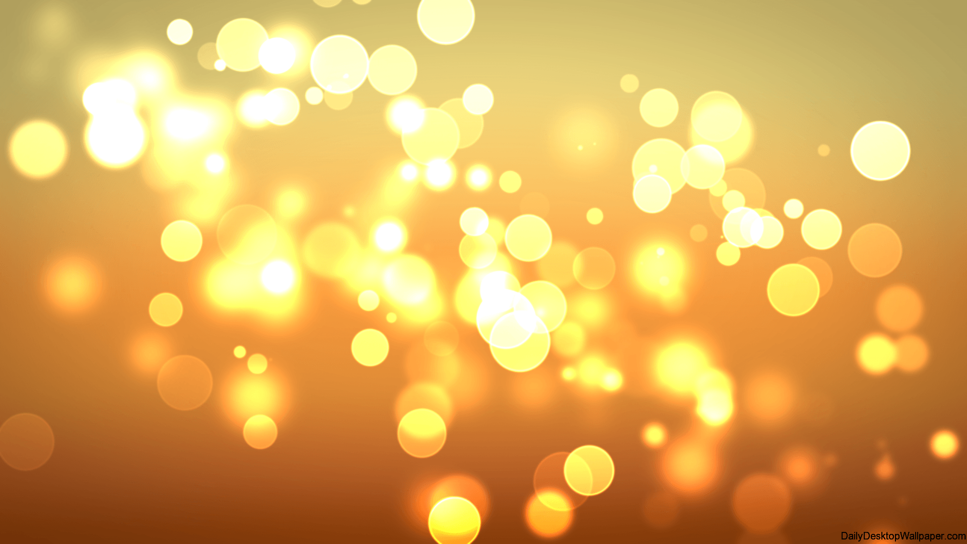 Golden Light Wallpapers Top Free Golden Light Backgrounds