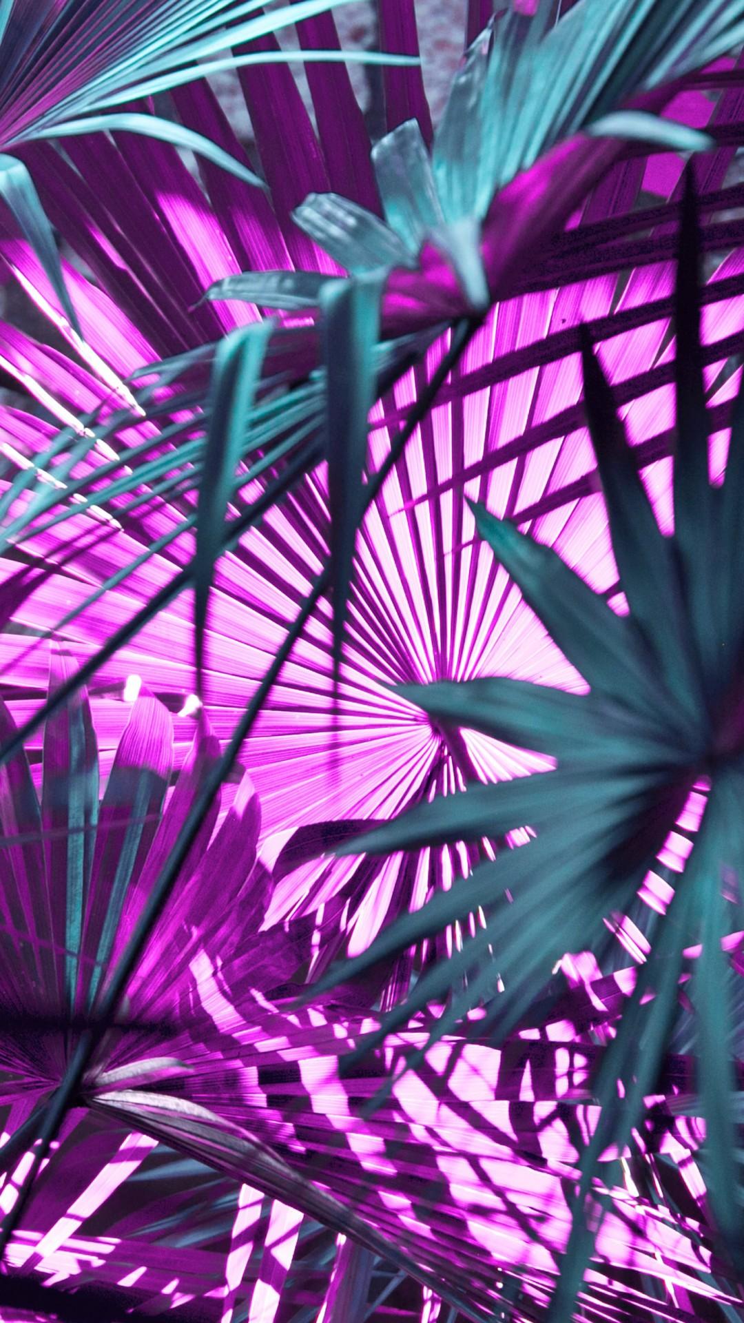 Purple Green iPhone Wallpapers Top Free Purple Green iPhone