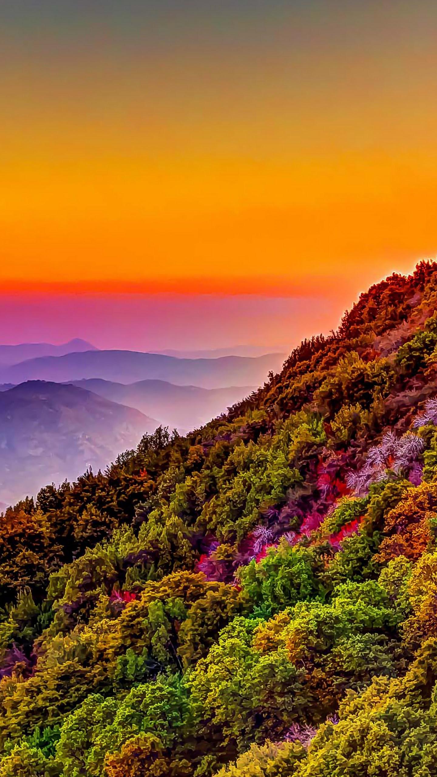 4K Ultra HD Portrait Wallpapers Top Free 4K Ultra HD Portrait Backgrounds WallpaperAccess