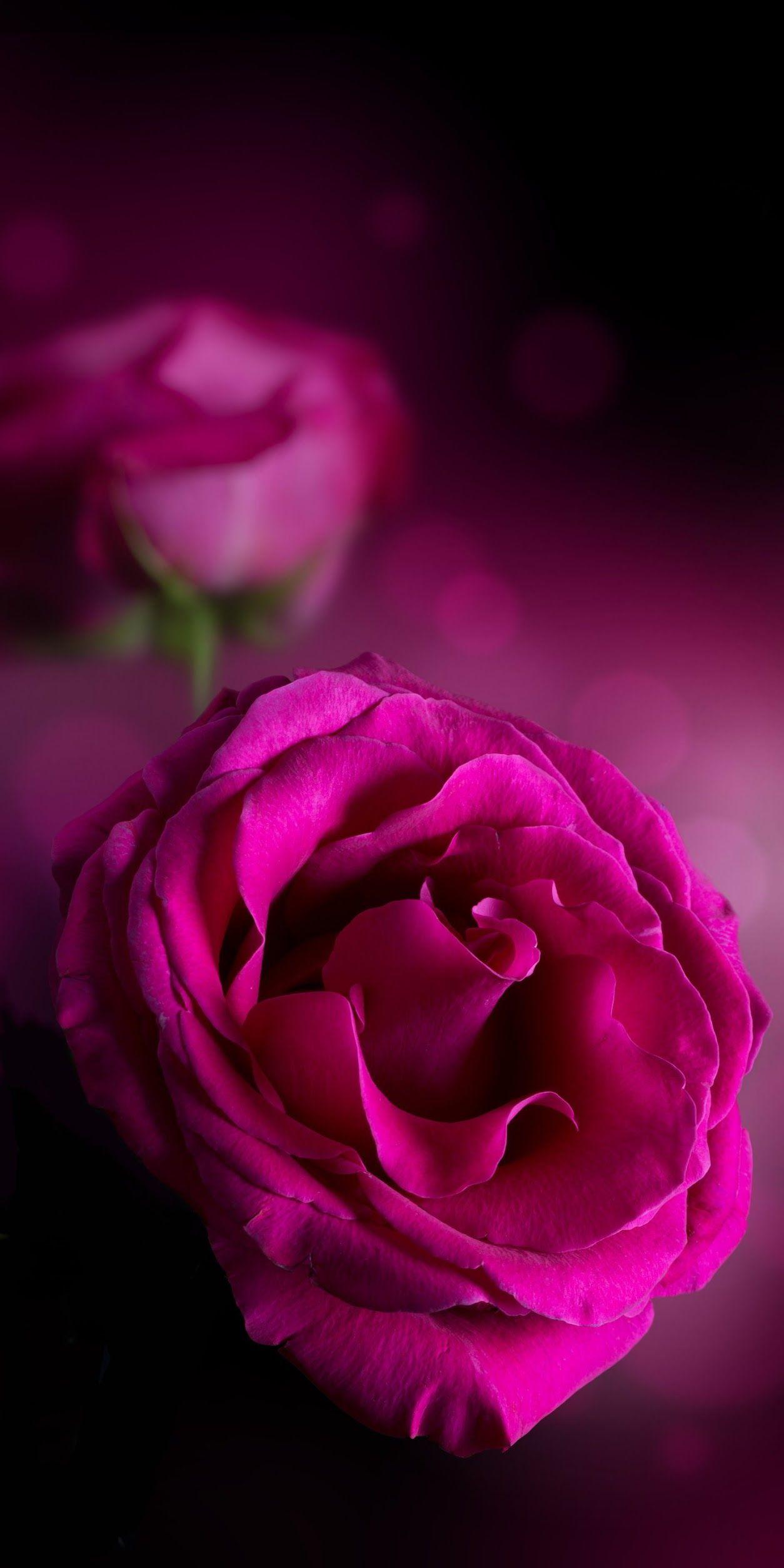 LG Mobile Wallpapers Top Free LG Mobile Backgrounds WallpaperAccess