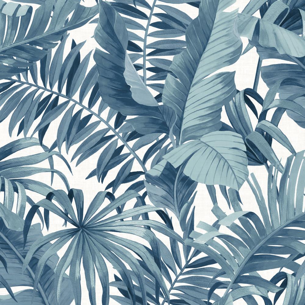 Blue Tropical Wallpapers Top Free Blue Tropical Backgrounds