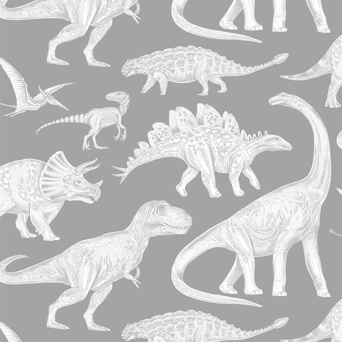 Kids Dinosaur Wallpapers Top Free Kids Dinosaur Backgrounds
