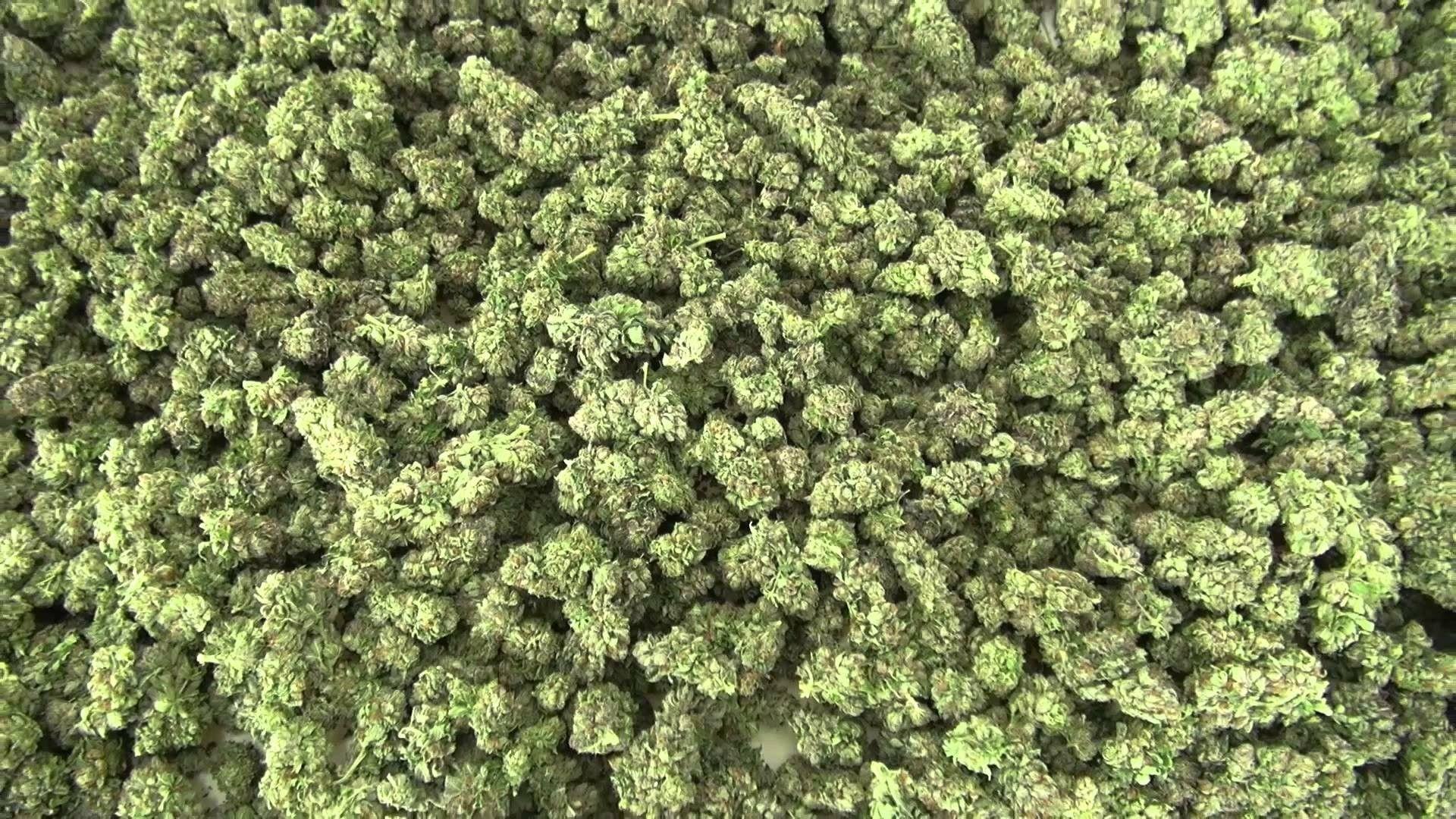 4K Marijuana Wallpapers Top Free 4K Marijuana Backgrounds