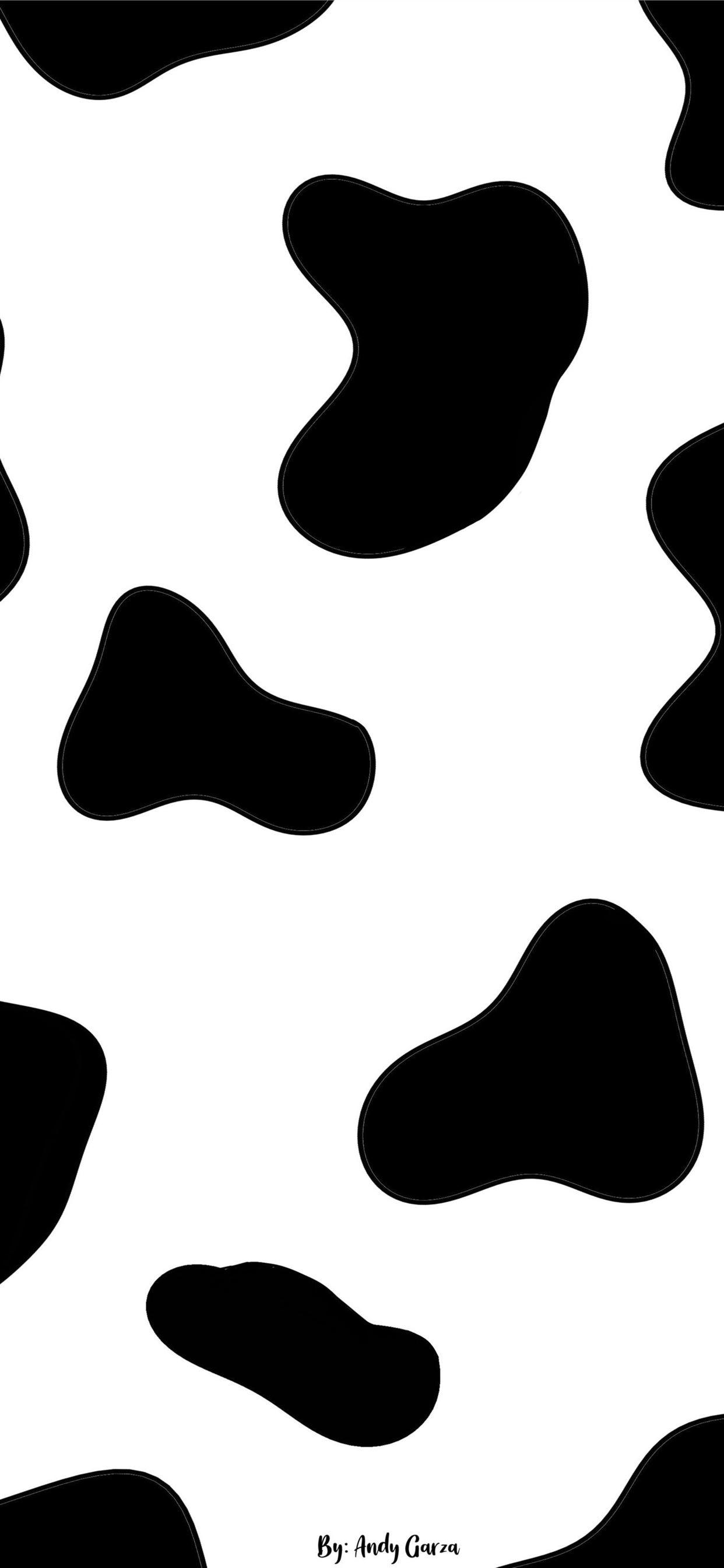Black and White Cow Wallpapers Top Free Black and White Cow