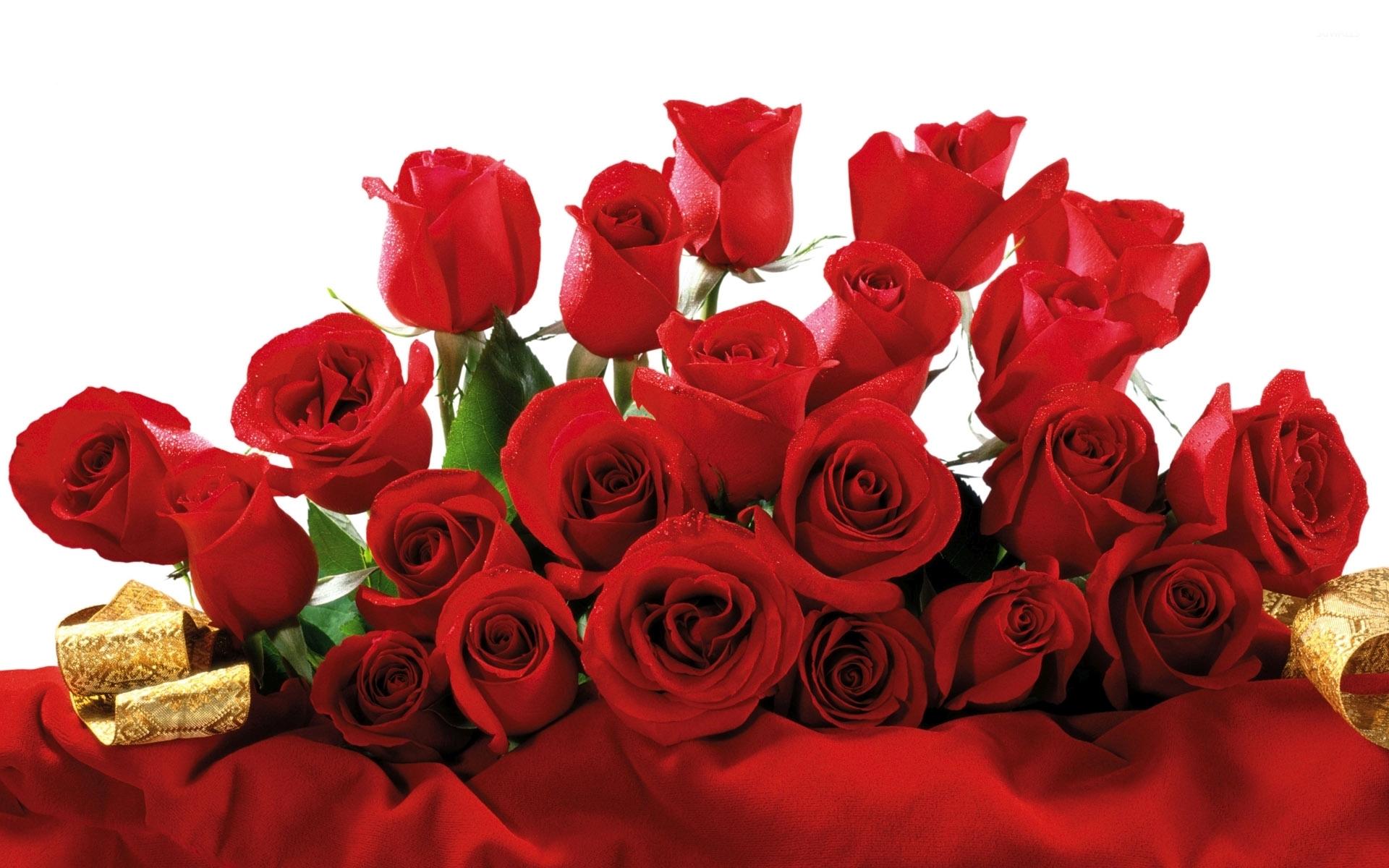 Red Rose Bouquet Wallpapers Top Free Red Rose Bouquet Backgrounds