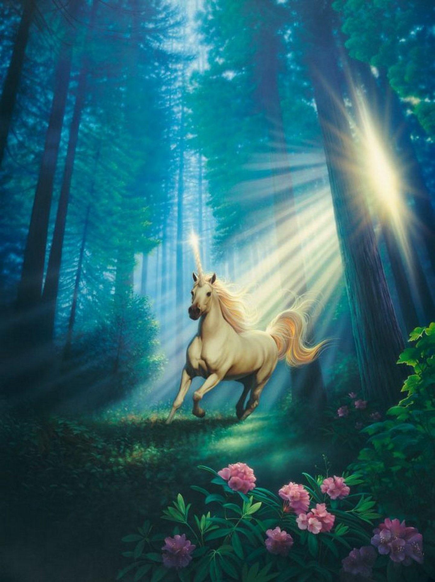 Beautiful Unicorns Wallpapers Top Free Beautiful Unicorns Backgrounds
