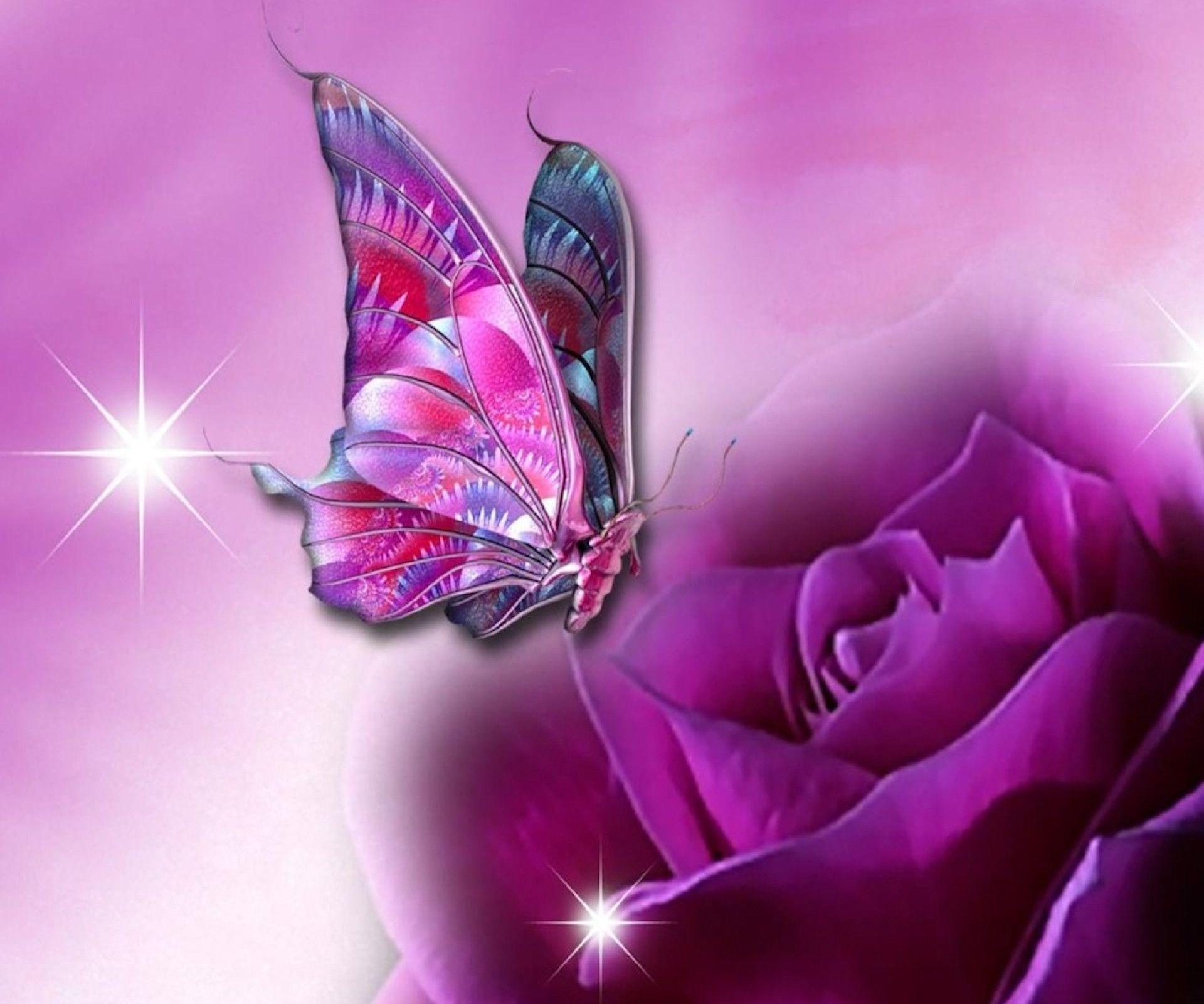 Black and Purple Butterfly Wallpapers Top Free Black and Purple