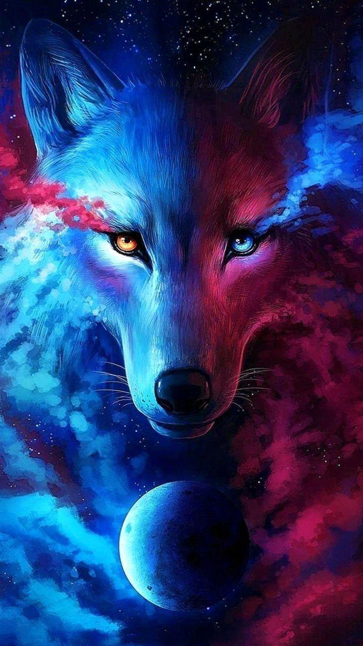 Blue Fox Wallpapers Top Free Blue Fox Backgrounds WallpaperAccess