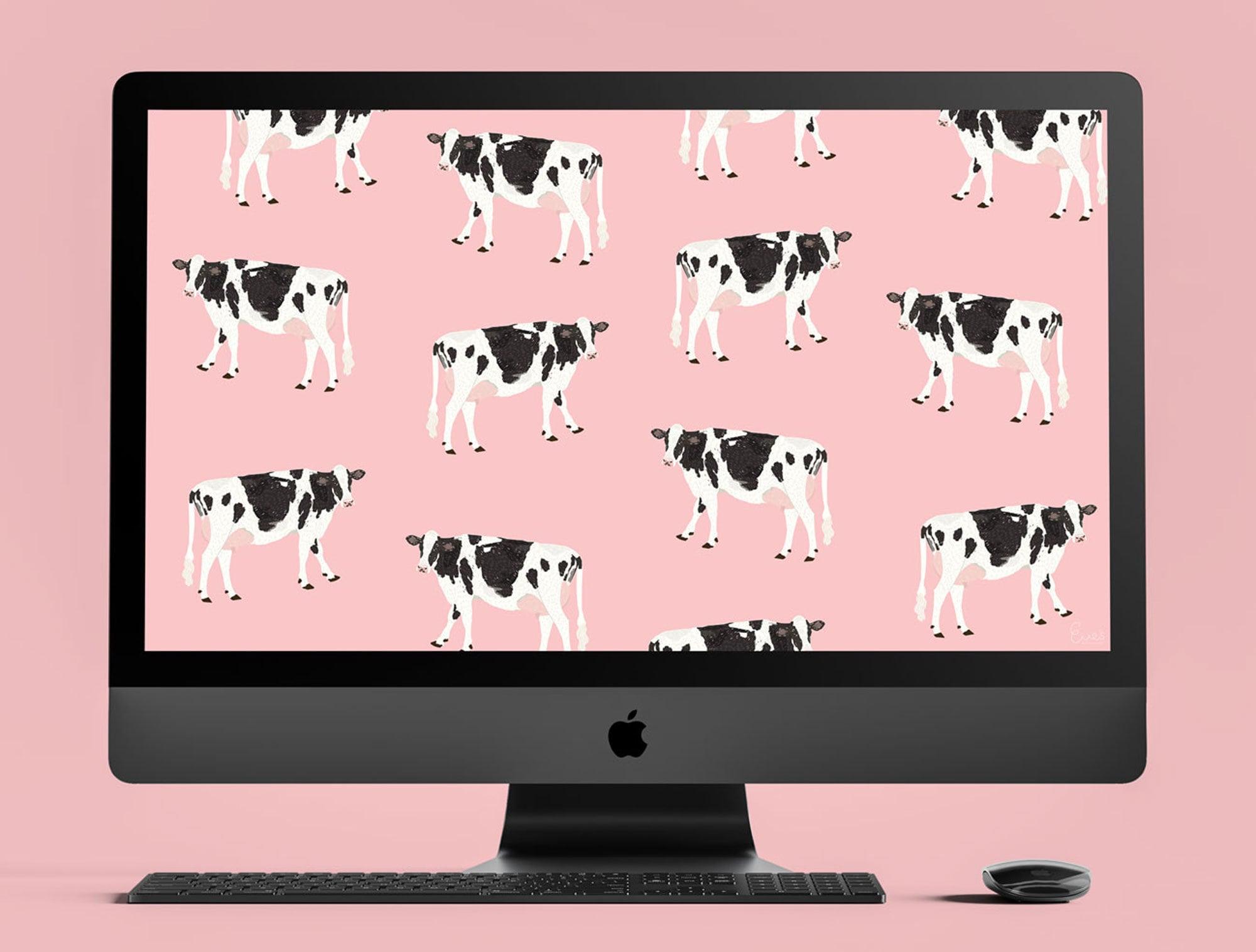 Pink Cow Wallpapers Top Free Pink Cow Backgrounds WallpaperAccess